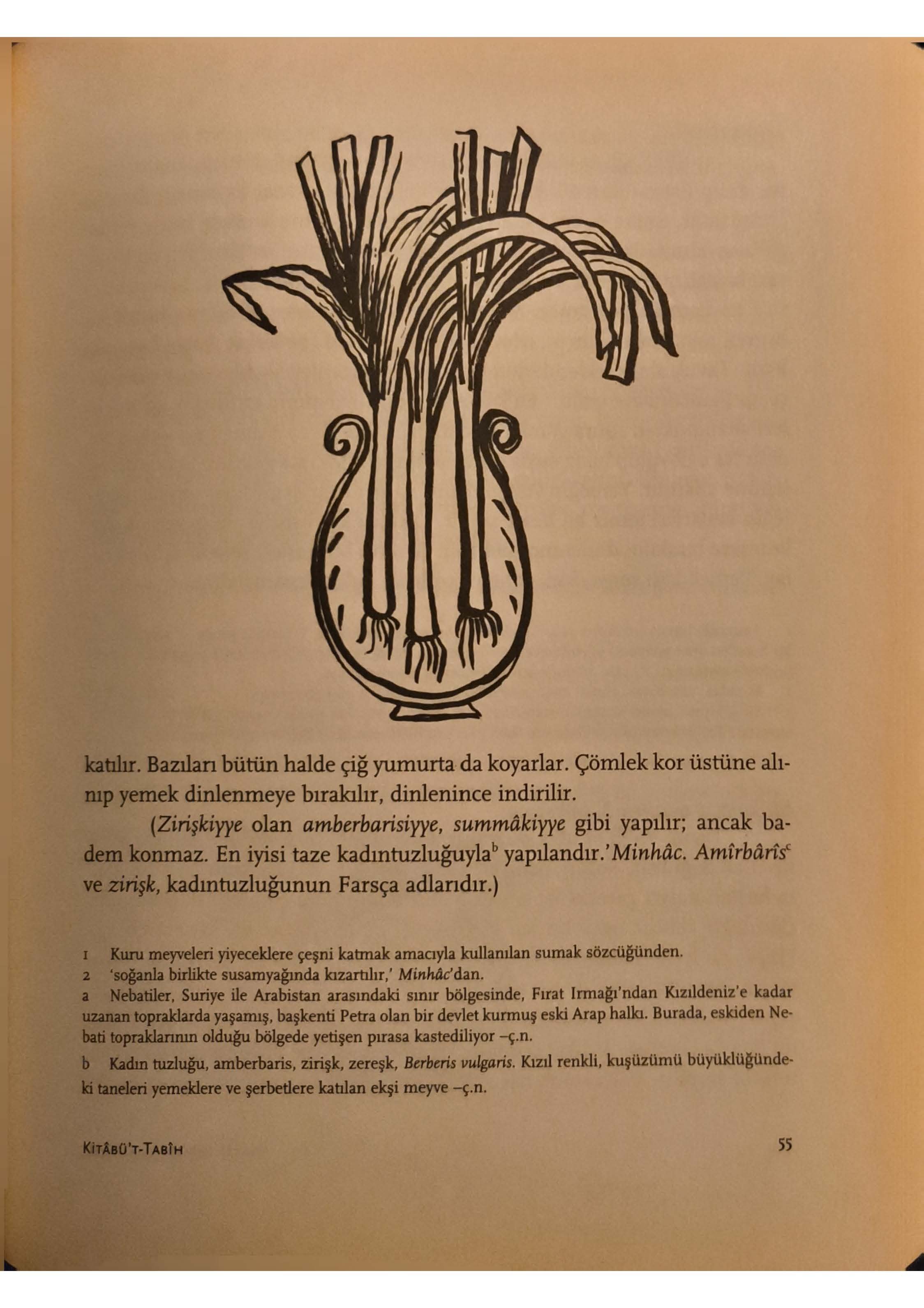 KitabüT Tabih_Sayfa_12.jpg