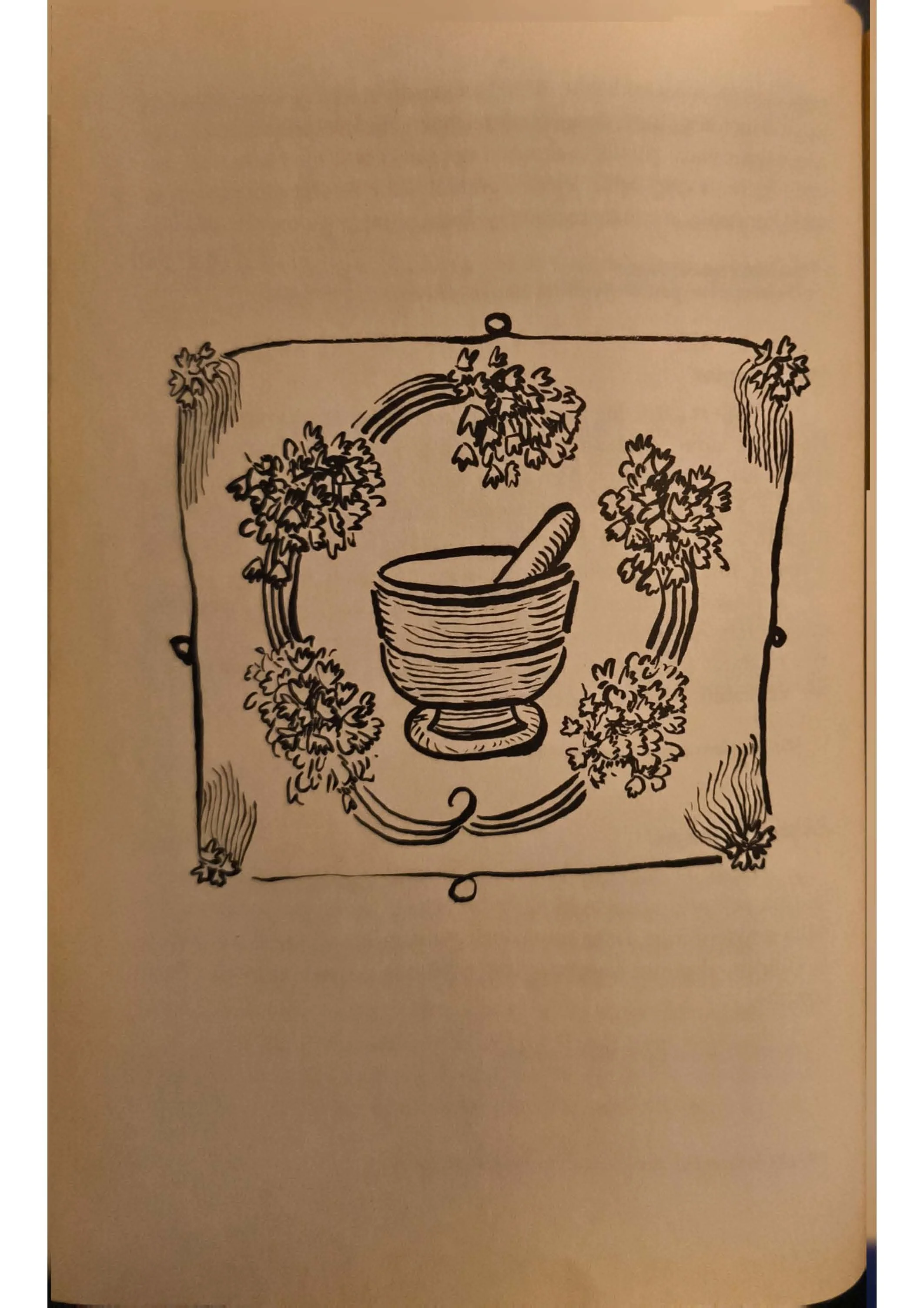 KitabüT Tabih_Sayfa_35.jpg