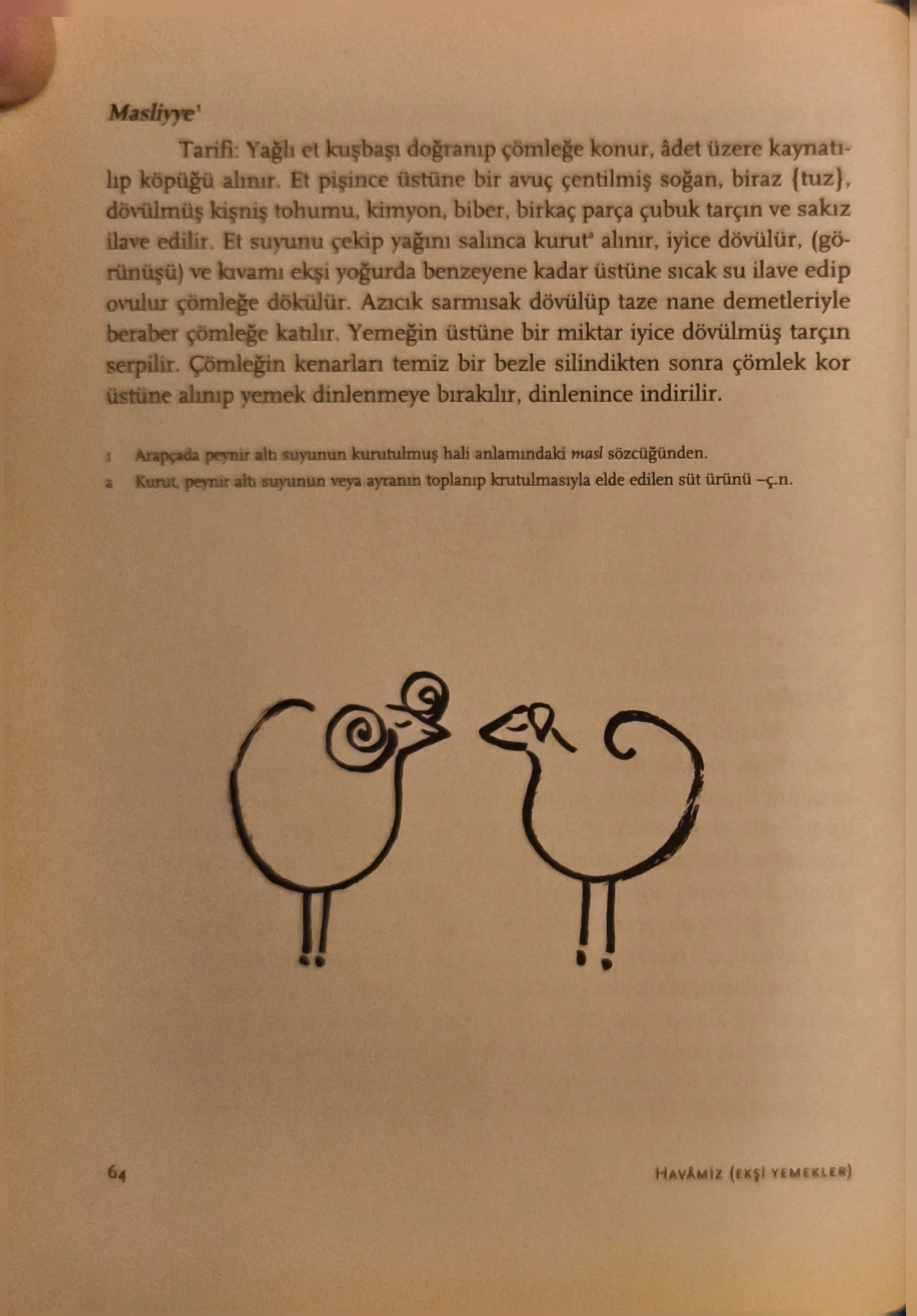 KitabüT Tabih_Sayfa_17.jpg