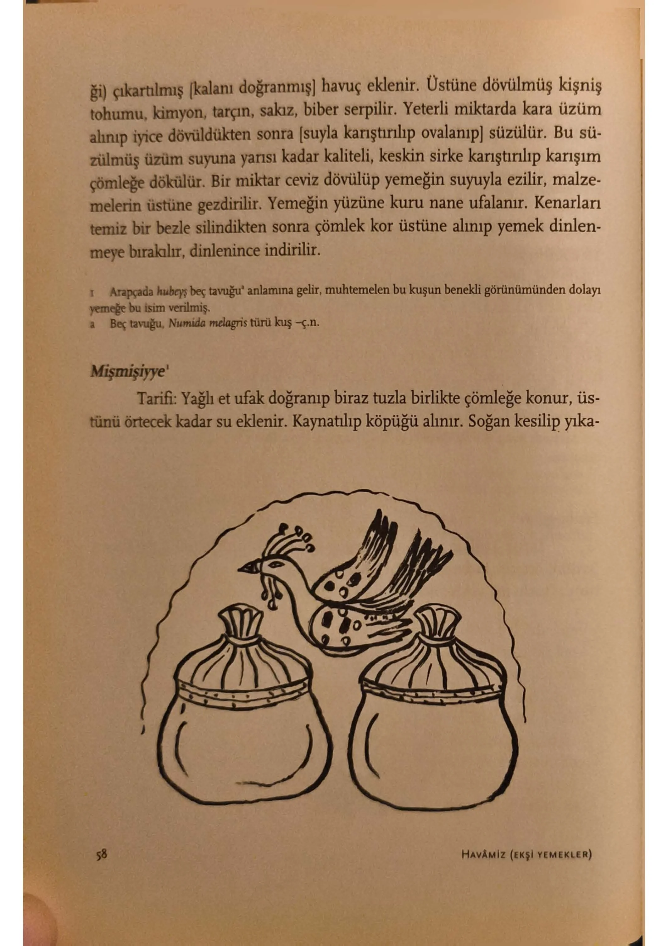 KitabüT Tabih_Sayfa_14.jpg