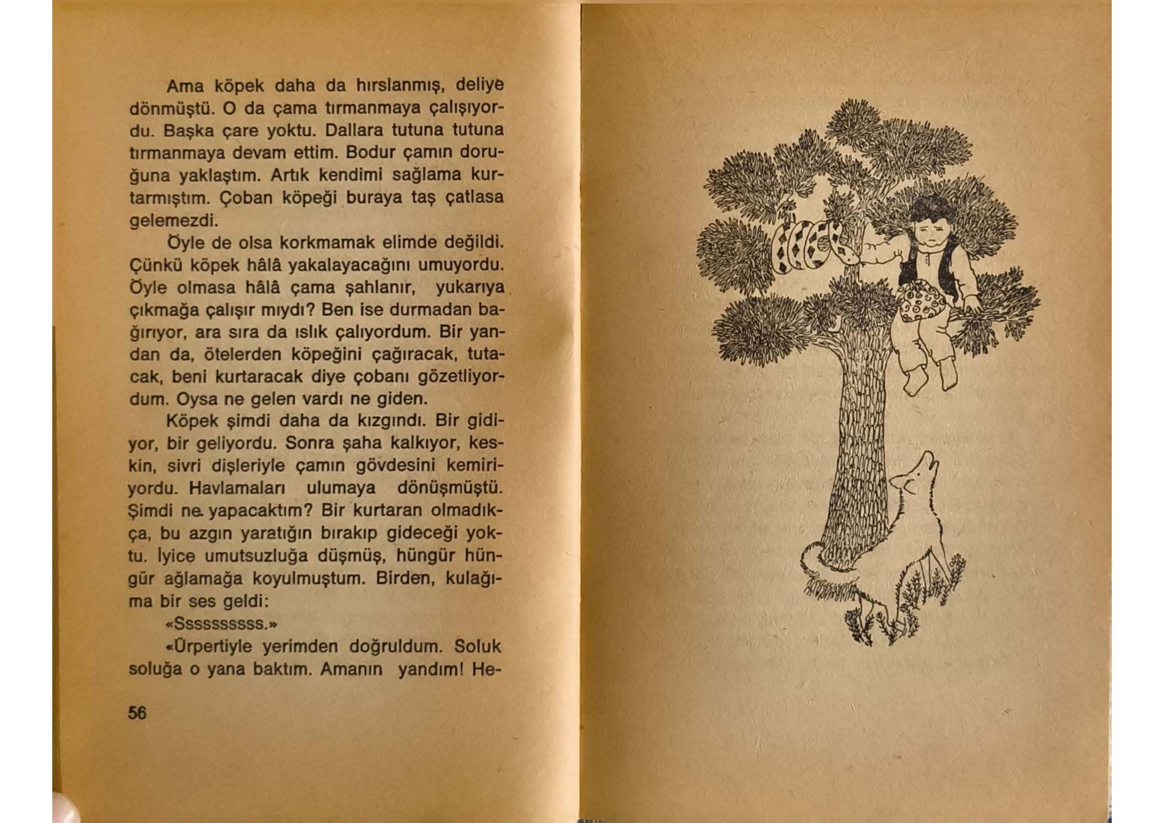Köy_Çocuklarından Anılar-Belkıs_Sayfa_29.jpg