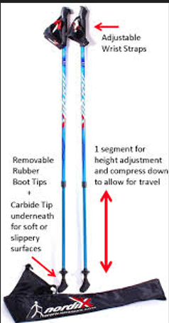 Walker poles 2500_21apr.png