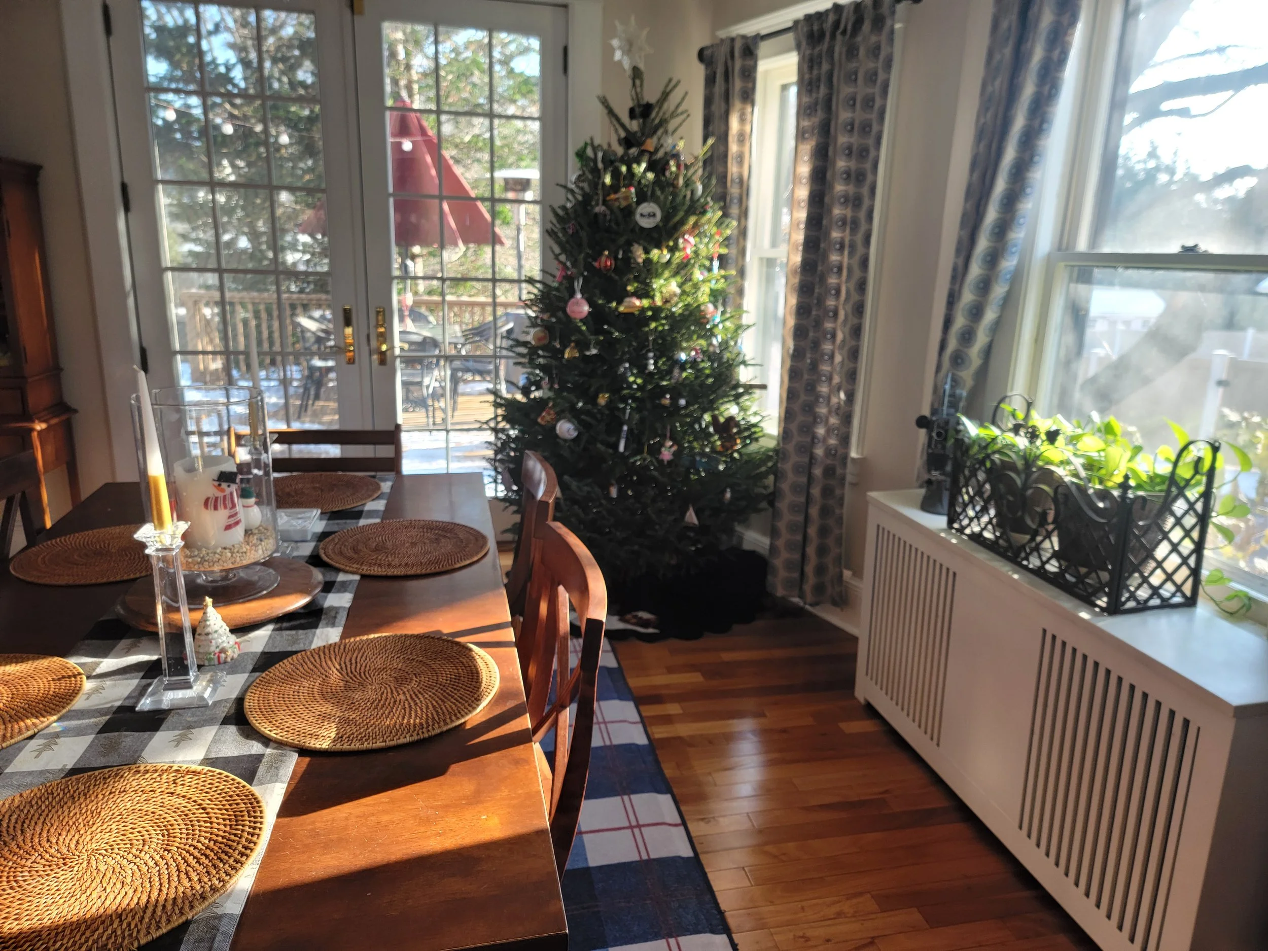 A dining room with a decorated Christmas tree near a sliding glass door, with a table set with woven placemats, and a radiator with a plant on it by a window.
