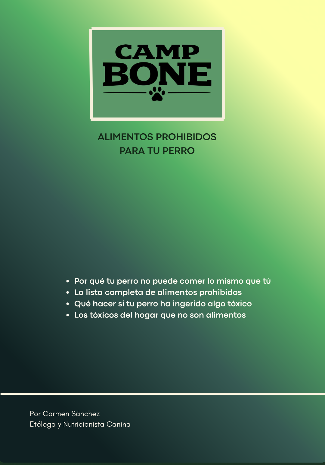Alimentos Prohibidos para tu Perro