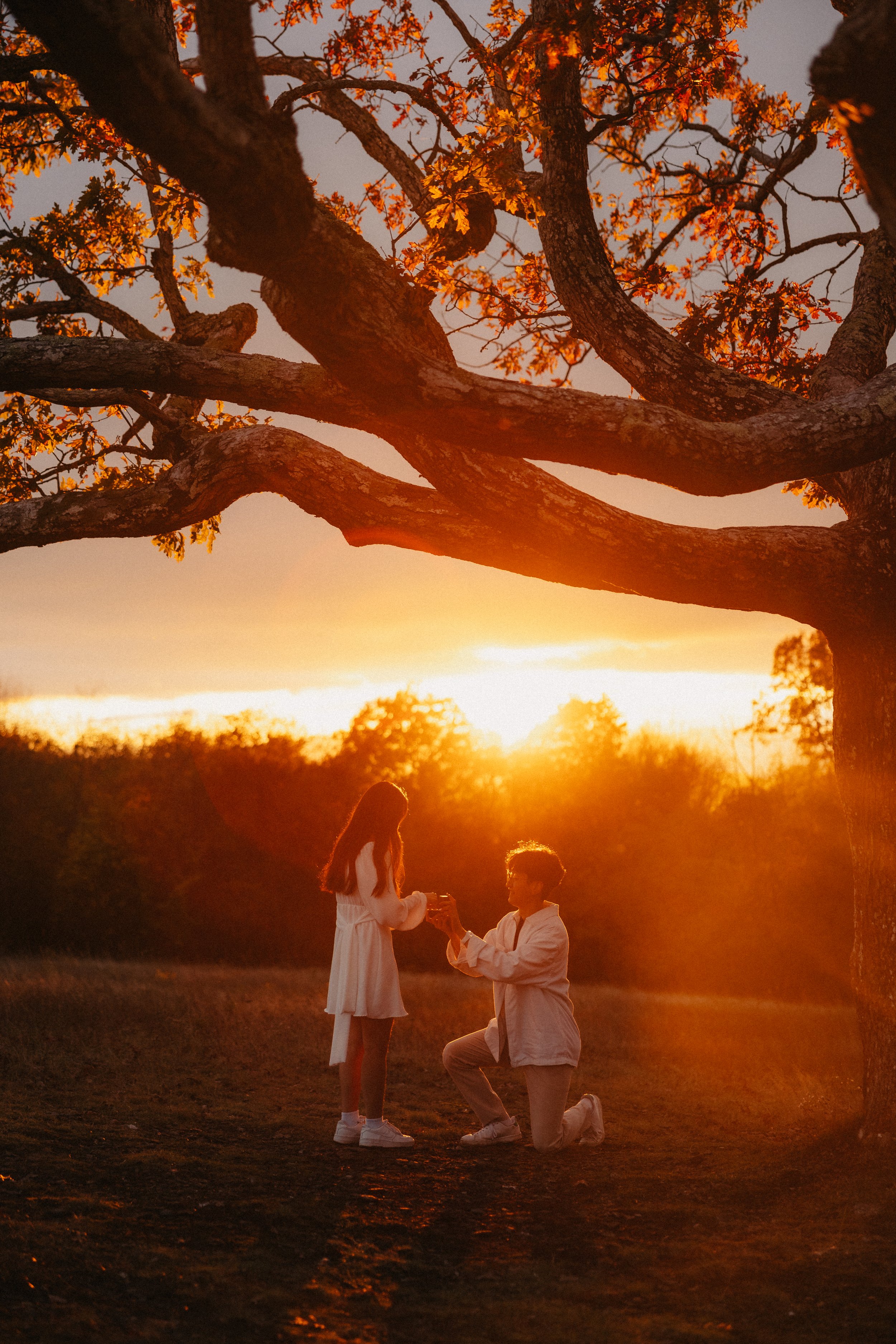 A man proposing to a woman outdoors during sunset under a large tree, with warm orange and yellow hues in the sky, and two people kneeling on one knee in a romantic scene.