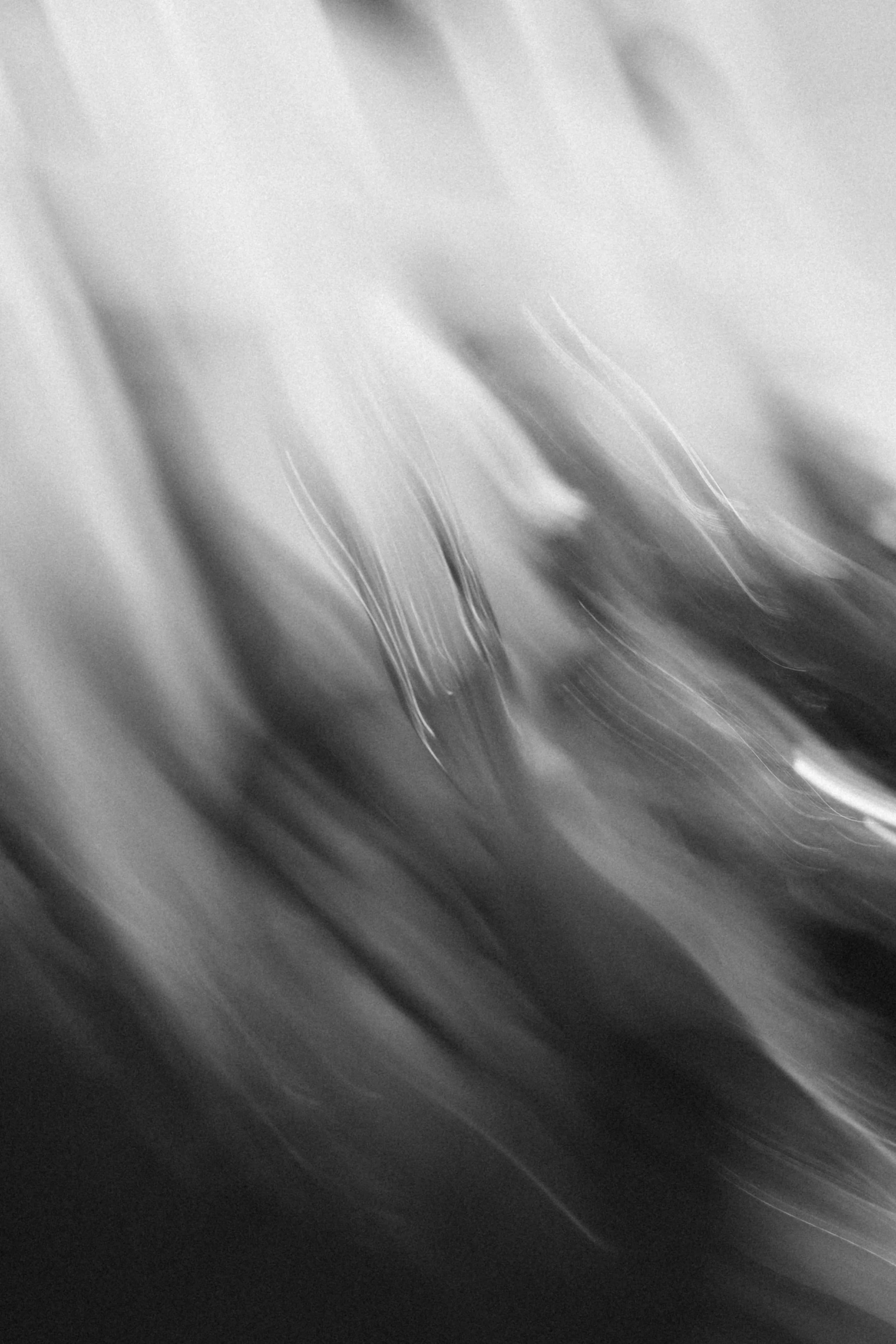 Abstract black and white image with blurred lines and light streaks creating a dynamic pattern.