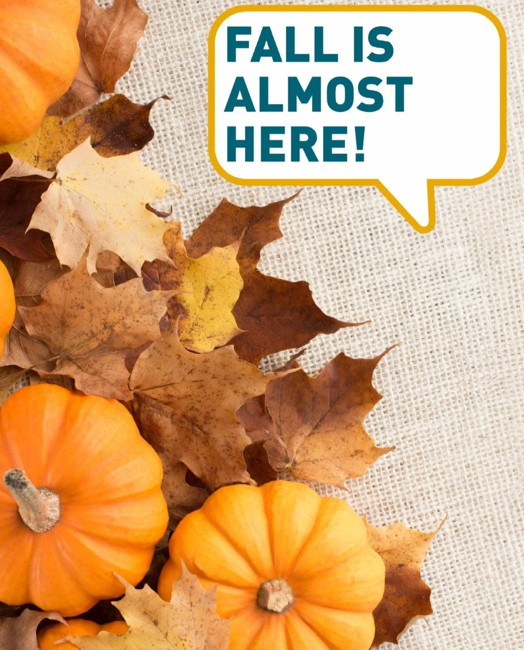 As we welcome a new season, it's the perfect time to refresh your financial goals and prepare for holiday spending. A little planning now can help you enjoy all the fun fall has to offer without breaking the budget. #HelloFall #FallSavings #Financial