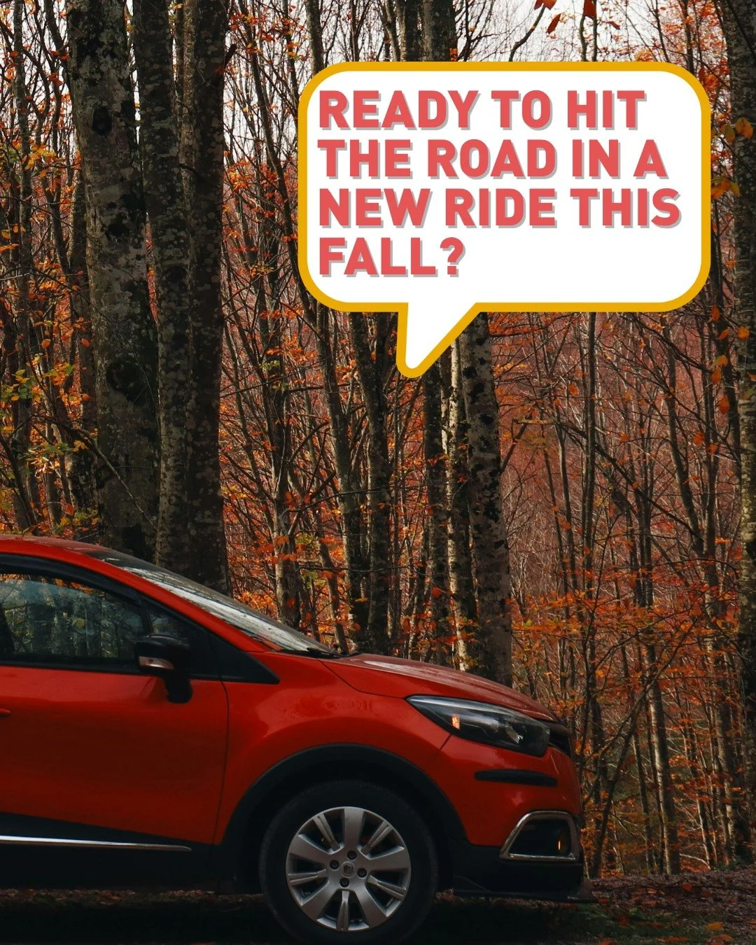Whether you're looking for a car, truck, or SUV, our auto loan options can help get you behind the wheel with confidence. -Competitive rates -Flexible terms -Local decisions and friendly service Where would you take a fall road trip? Tell us in the c