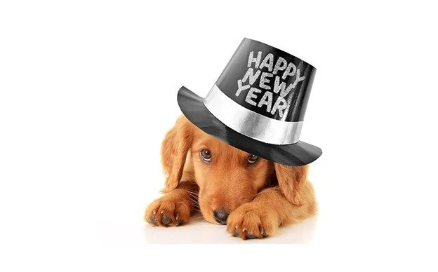 Closed for New Year's Eve and Day