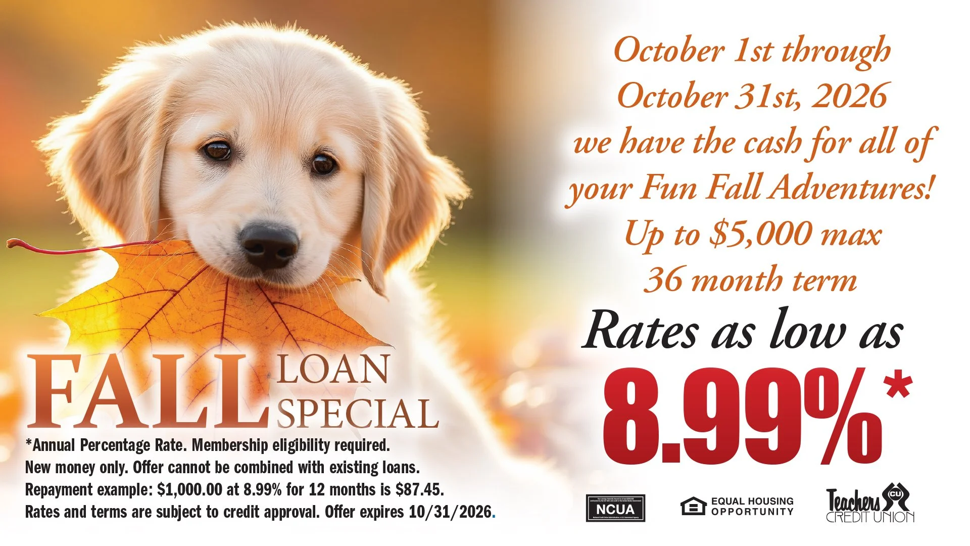 Fall Loan Special