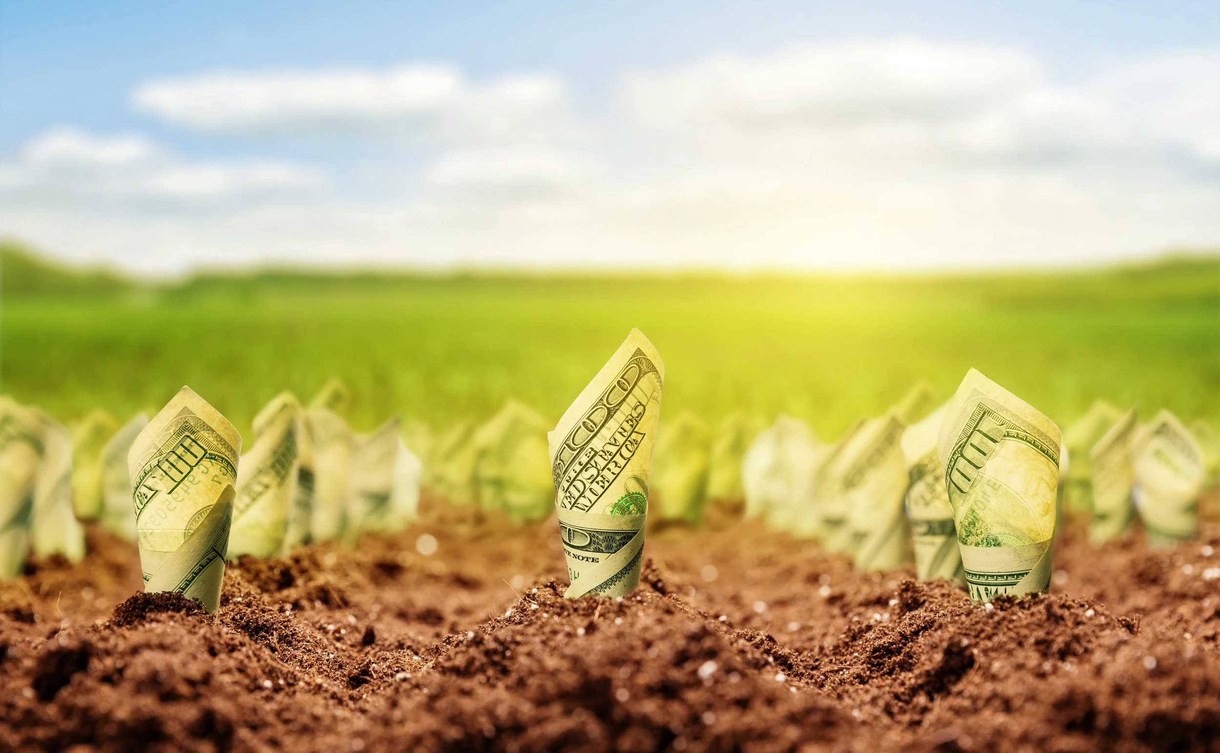 Let Your Money Grow