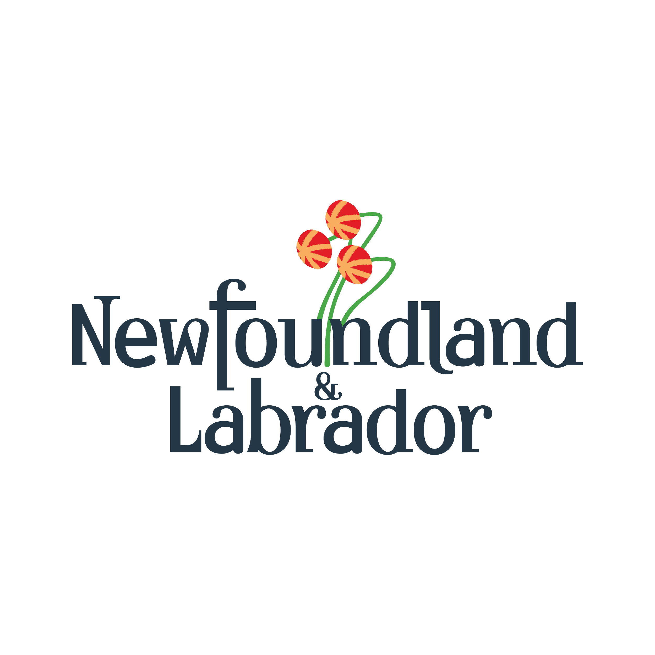 logo for Government of Newfoundland & Labrador