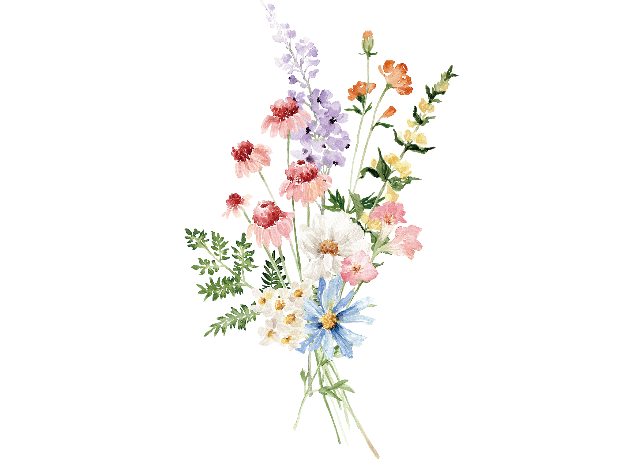 A colorful arrangement of watercolor-style flowers including lavender, pink coneflowers, white daisies, blue asters, and yellow snapdragons.