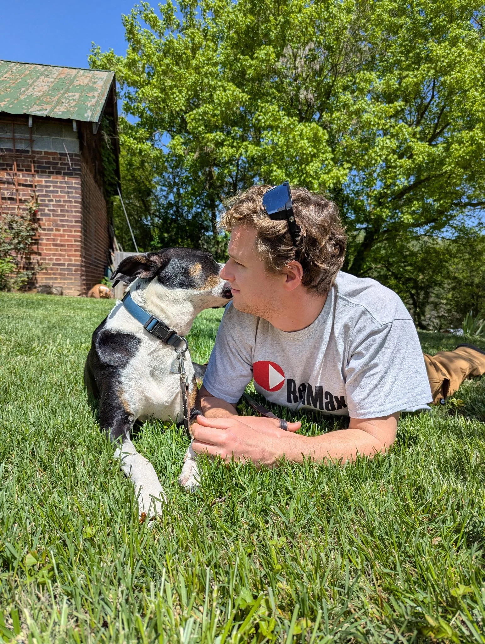 A man and a dog touching noses on a grassy lawn with a brick building and green trees in the background.