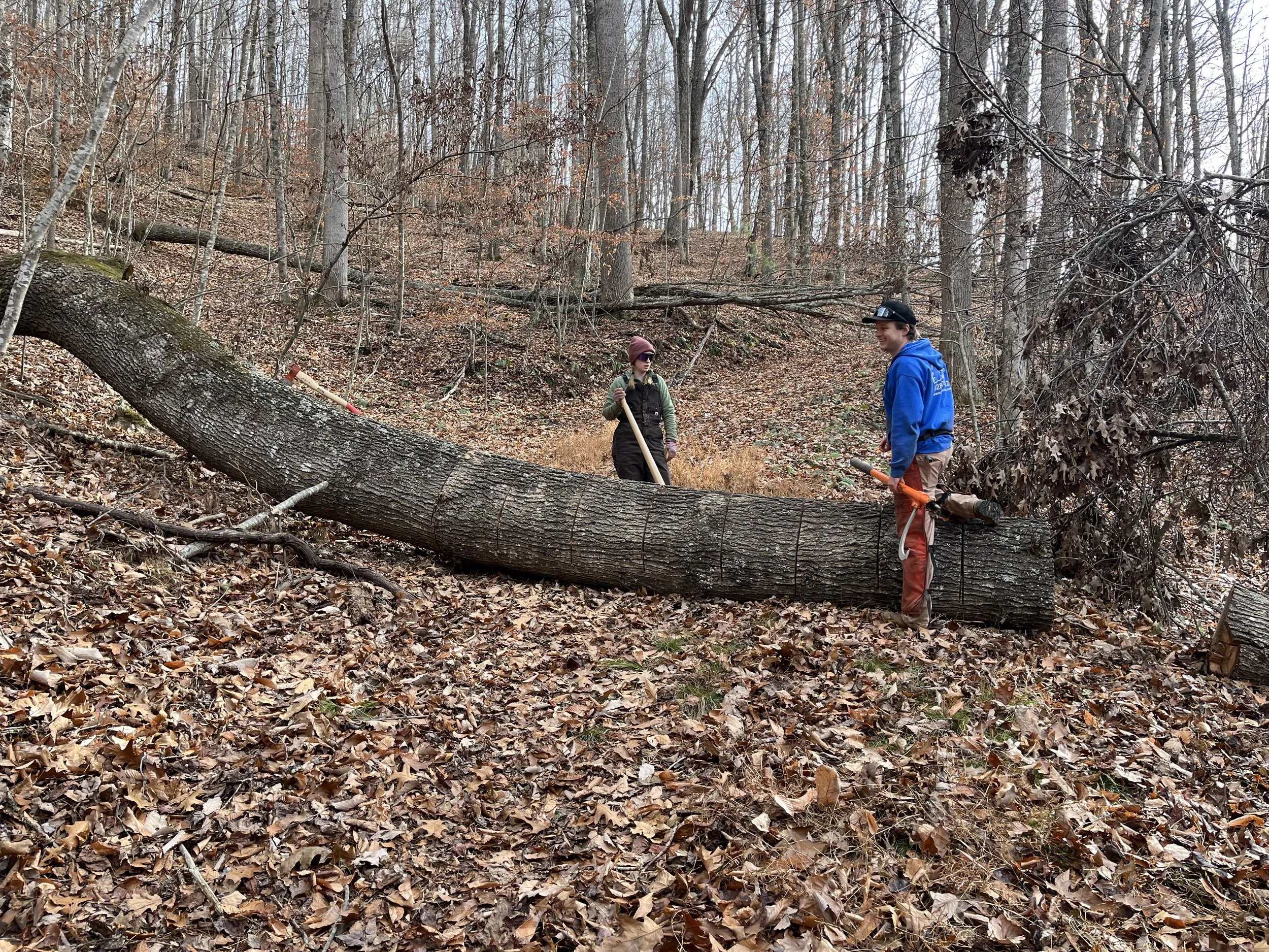 Sydney and Nolan Thompson standing in a forested area with a large fallen tree. One person is holding a saw, and the other is holding a tool, possibly a chainsaw. The scene appears to be related to tree cutting or clearing.
