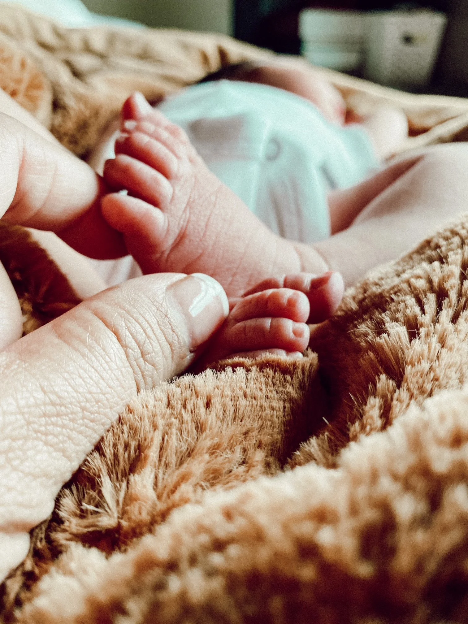 Newborn Photographer.JPG