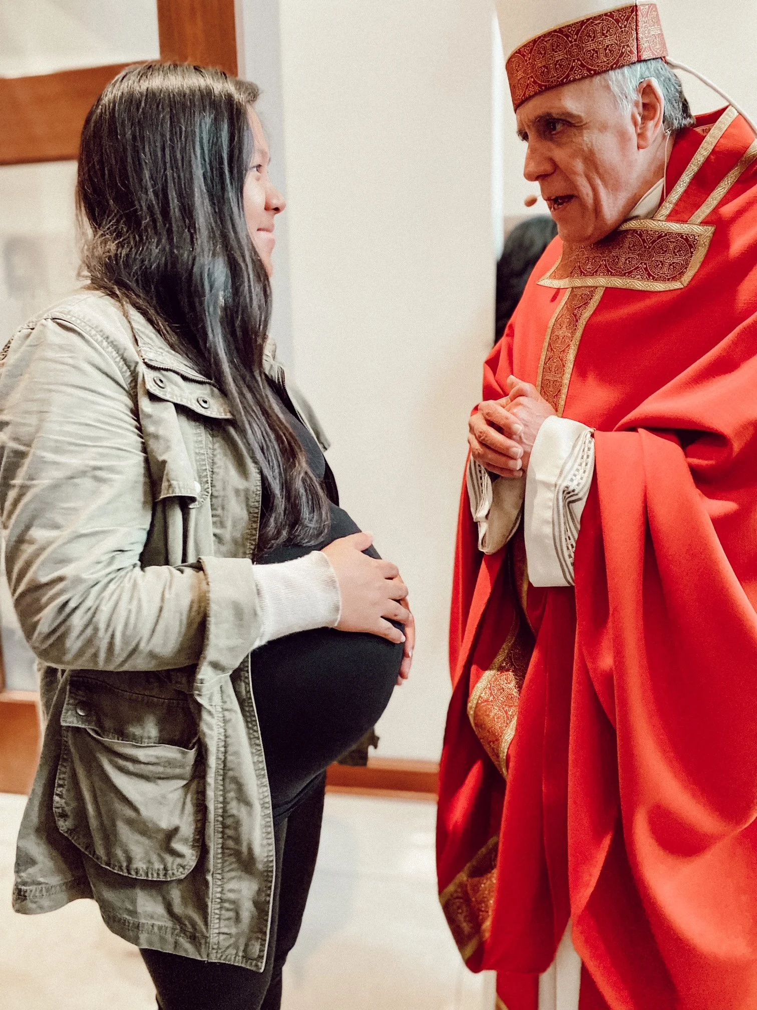 Blessing cardinal.JPG