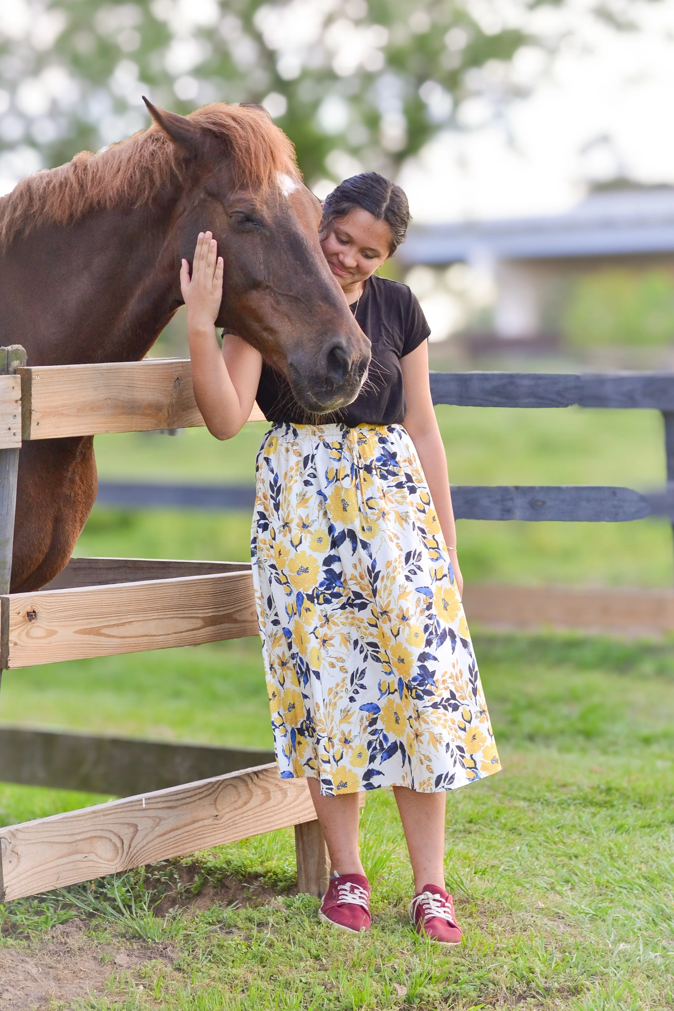 horse photography in the woodlands.JPG
