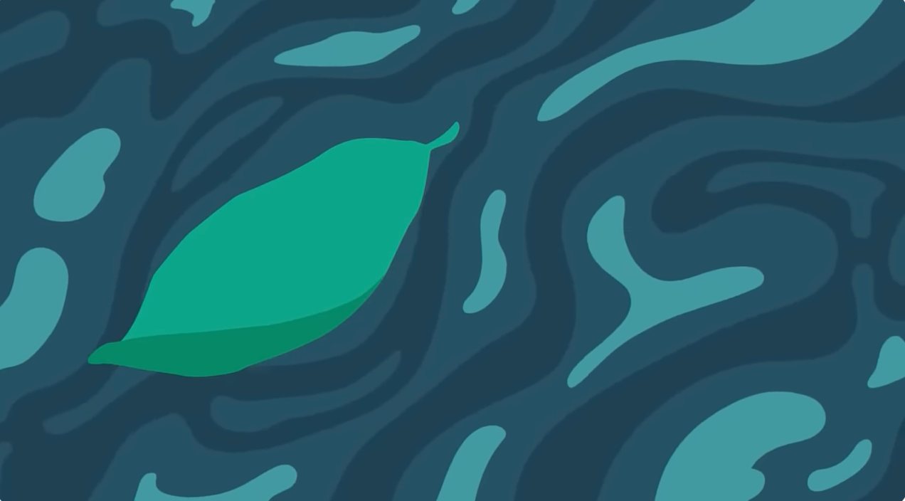 Leaves On A Stream. Acceptance and Commitment (ACT)