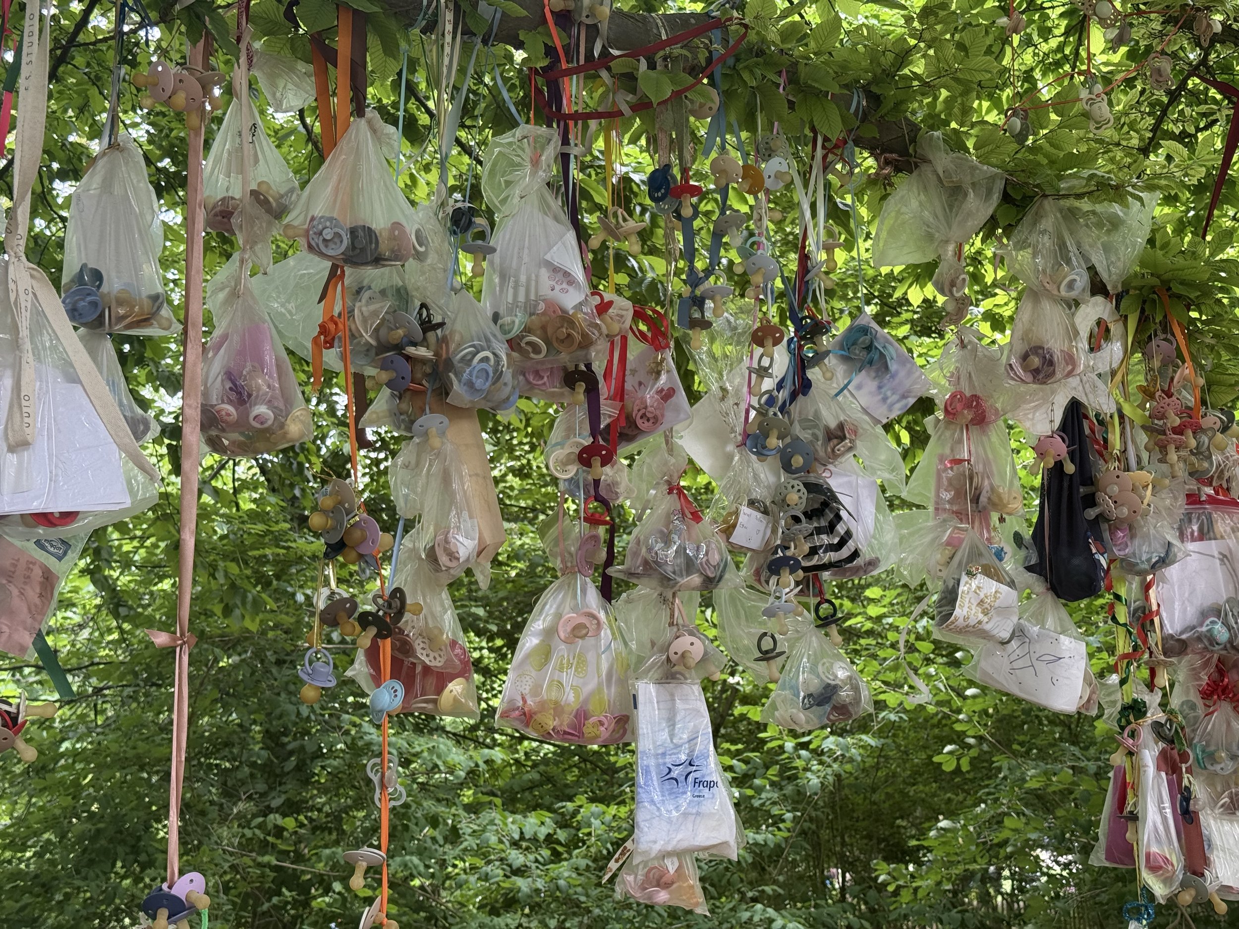 Quand les tétines s’accrochent aux arbres