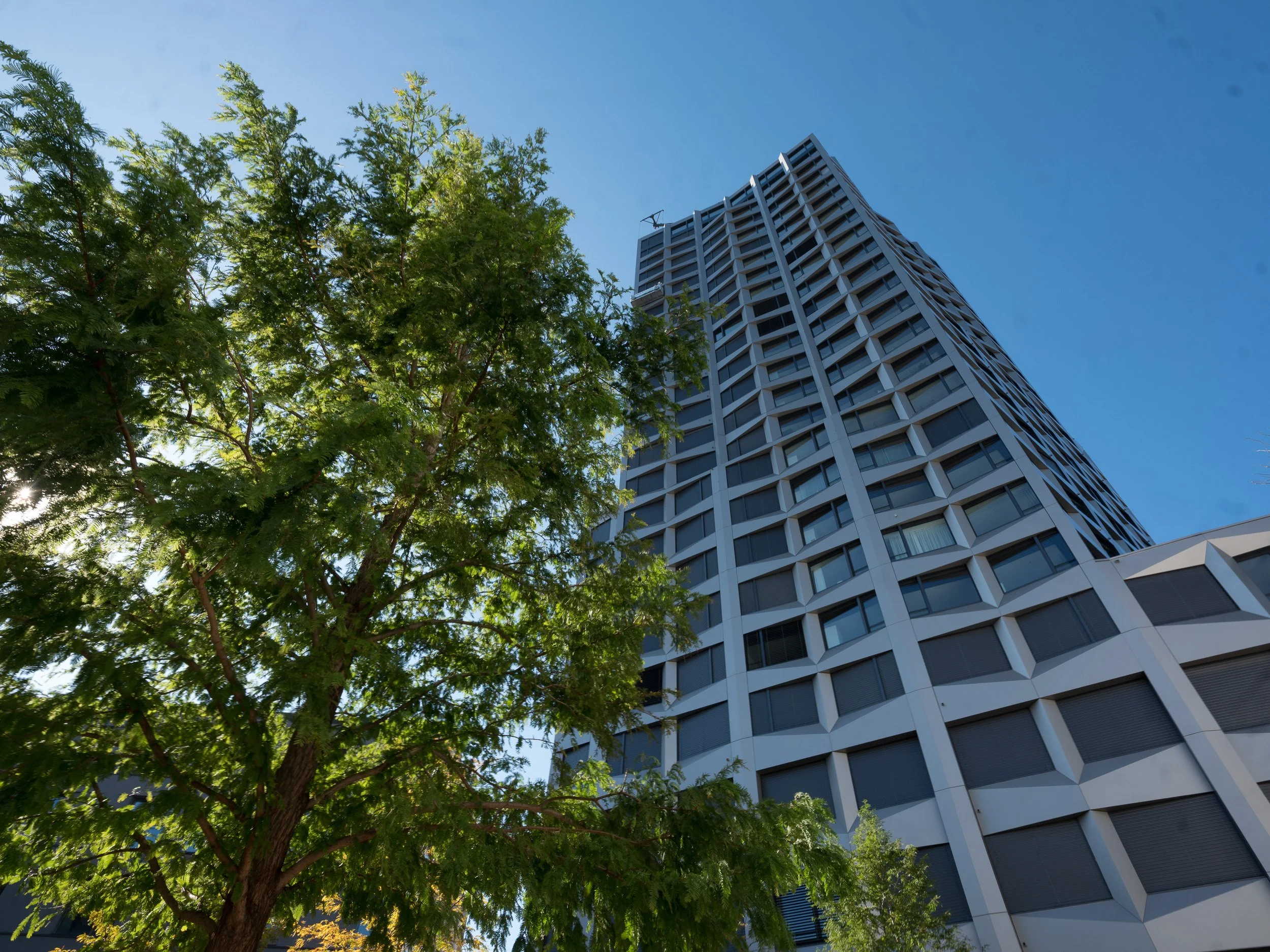 20171011_liechtblick_limmattower_DSF5266.jpg