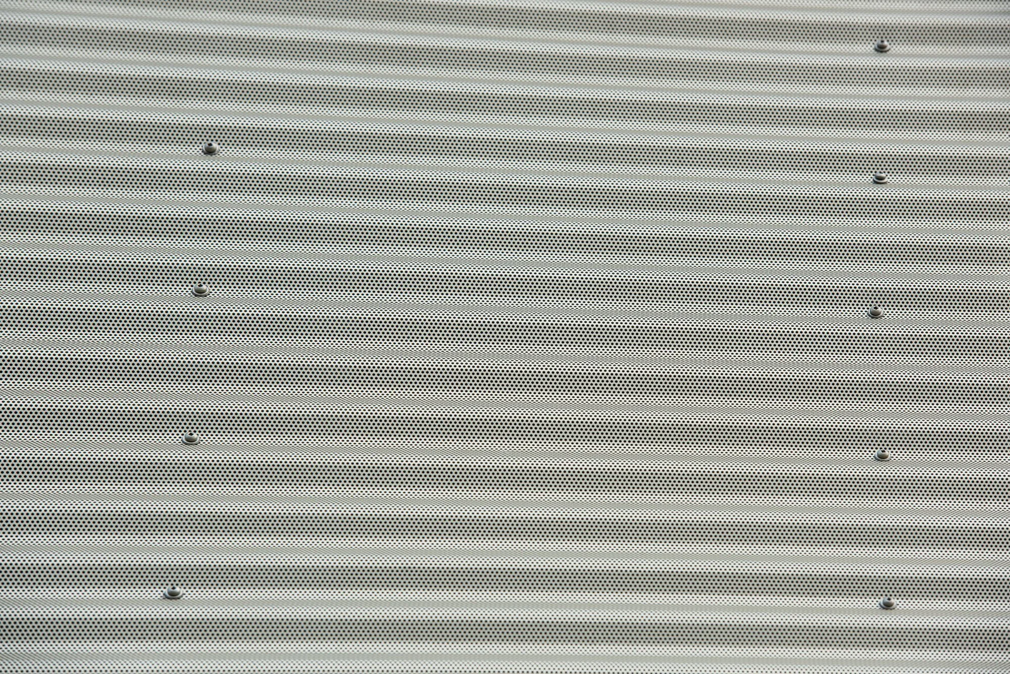 PSC_5407.jpg