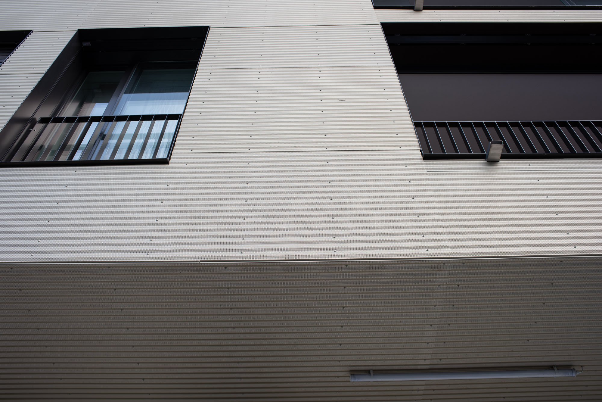 USM_4077.jpg