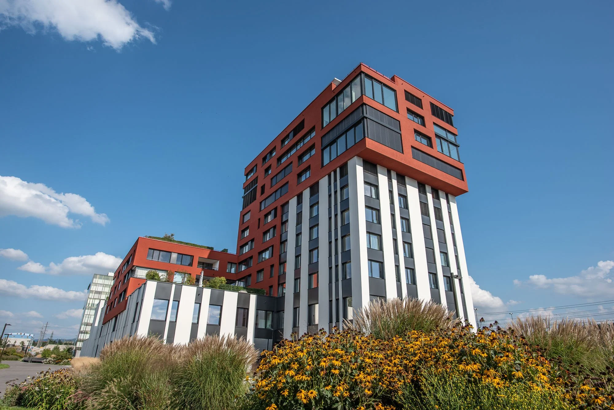USM_4401.jpg