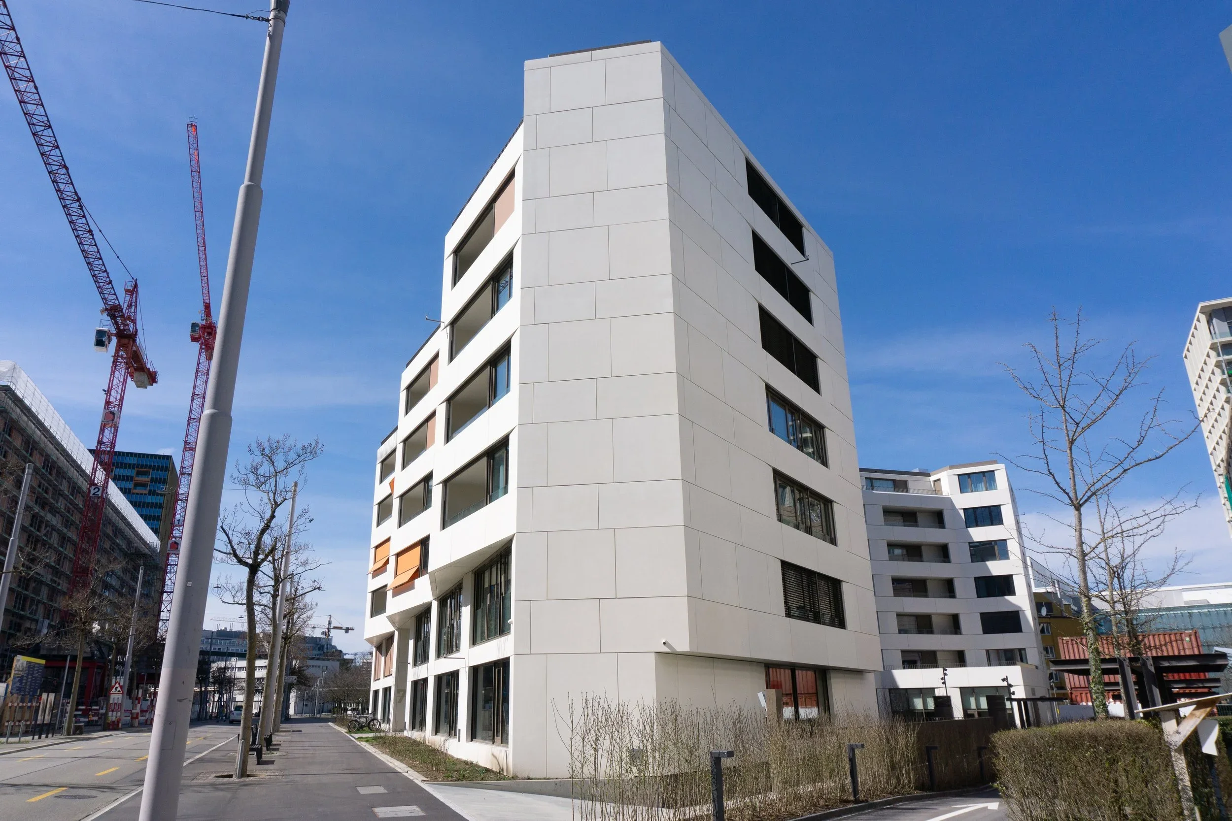 DSC03353.webp