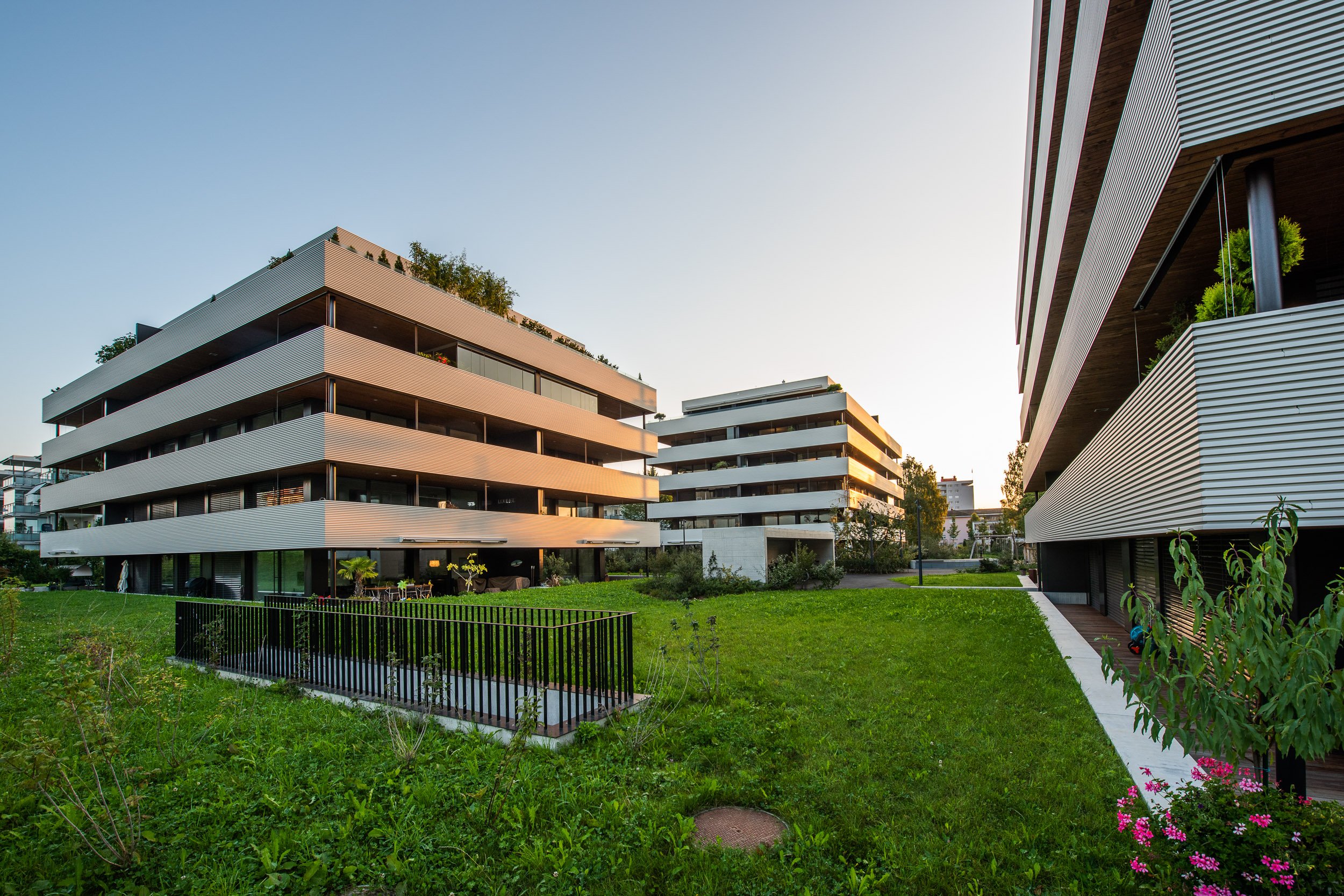 PSC_5305.jpg