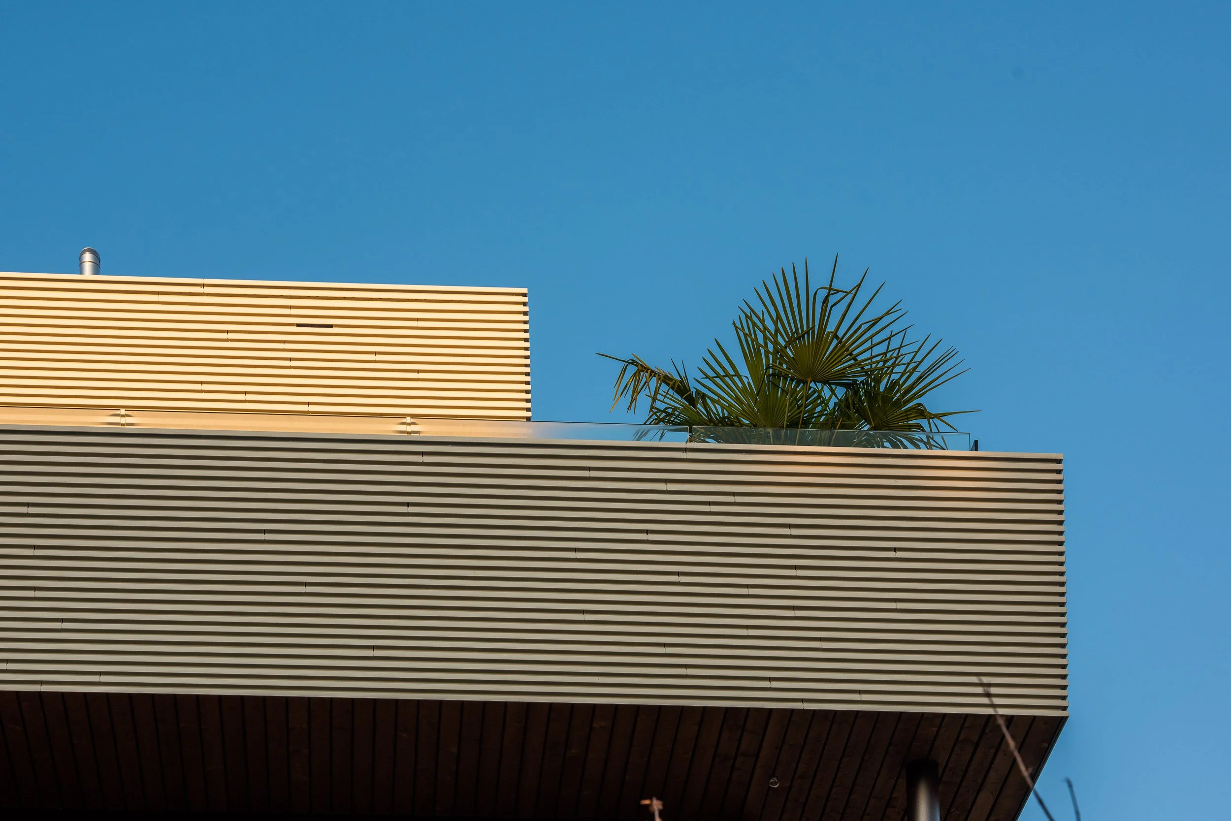 PSC_5317.jpg