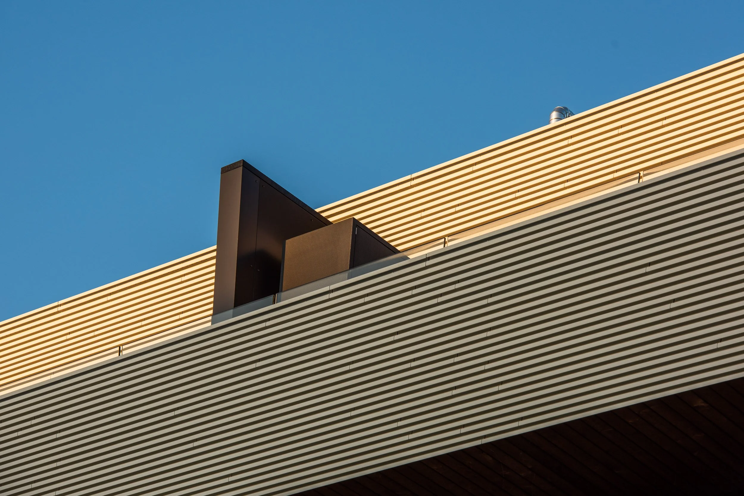 PSC_5318.jpg