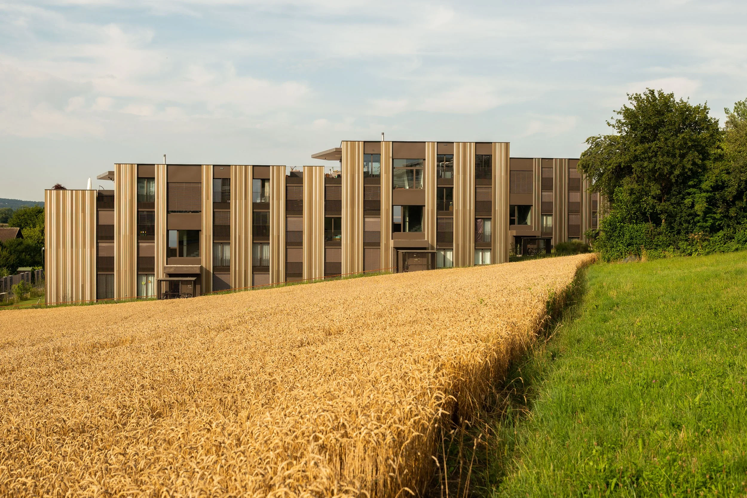20180710_ecolite-grundhalde_P1030671.jpg
