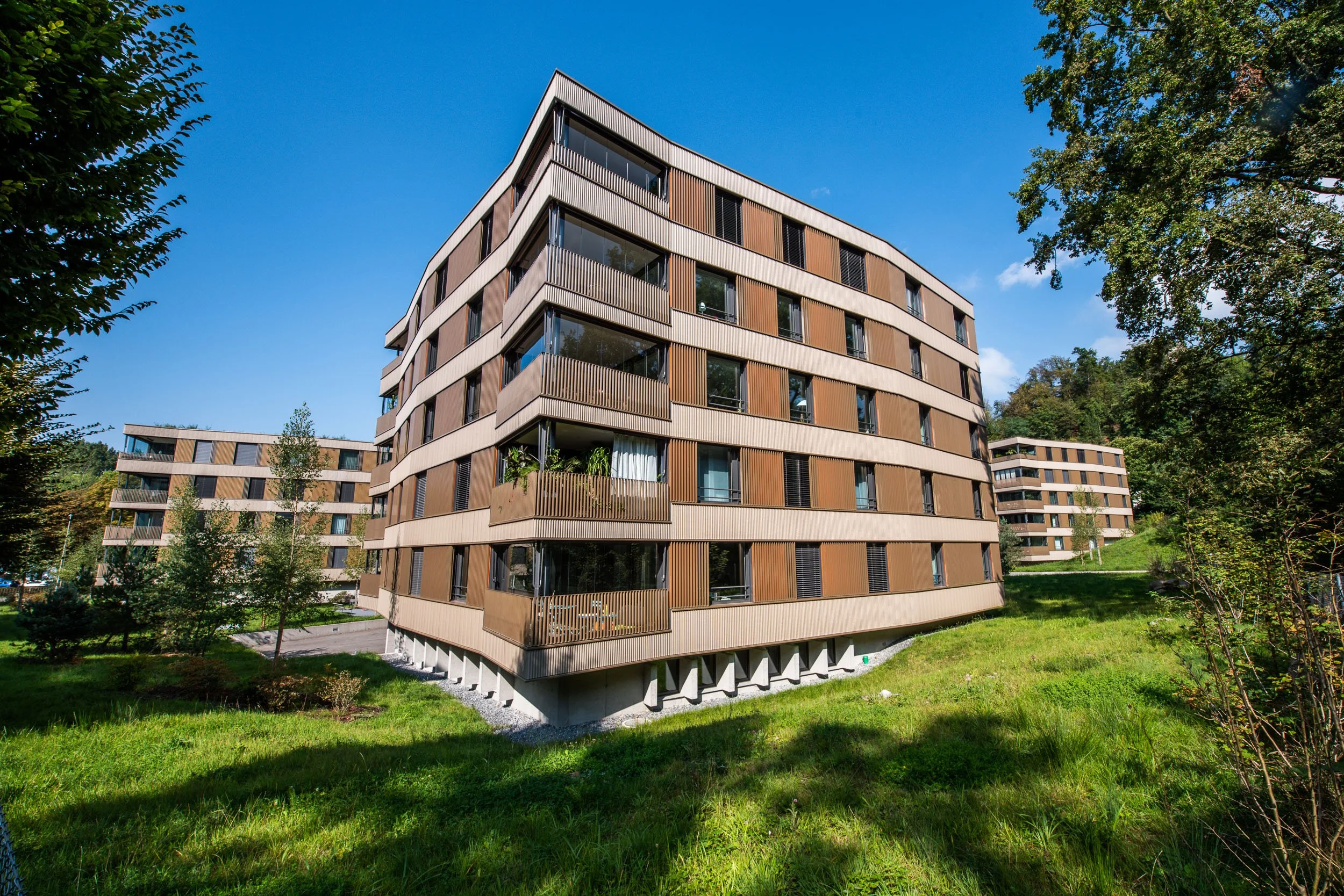 USM_4205.jpg