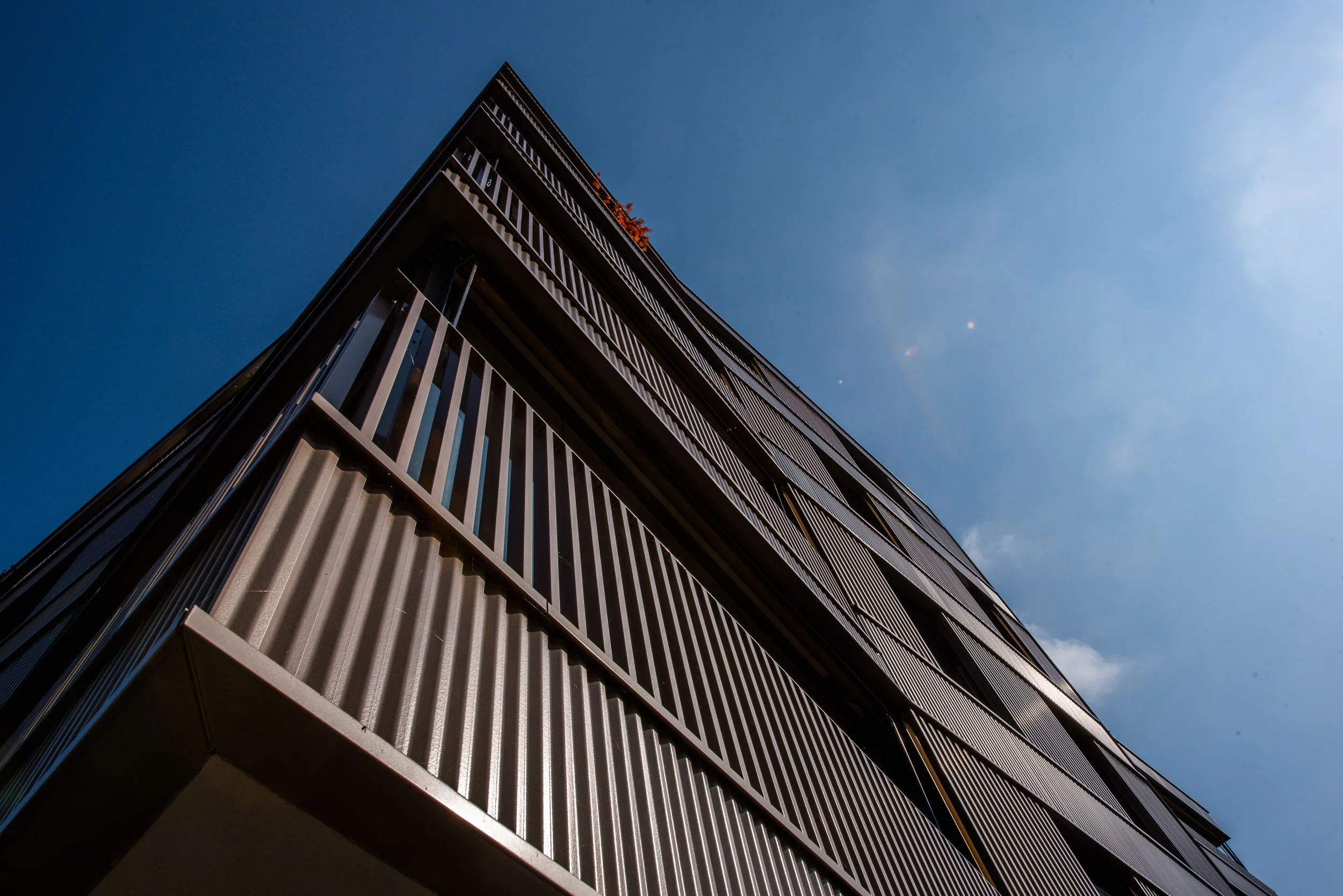USM_4215.jpg