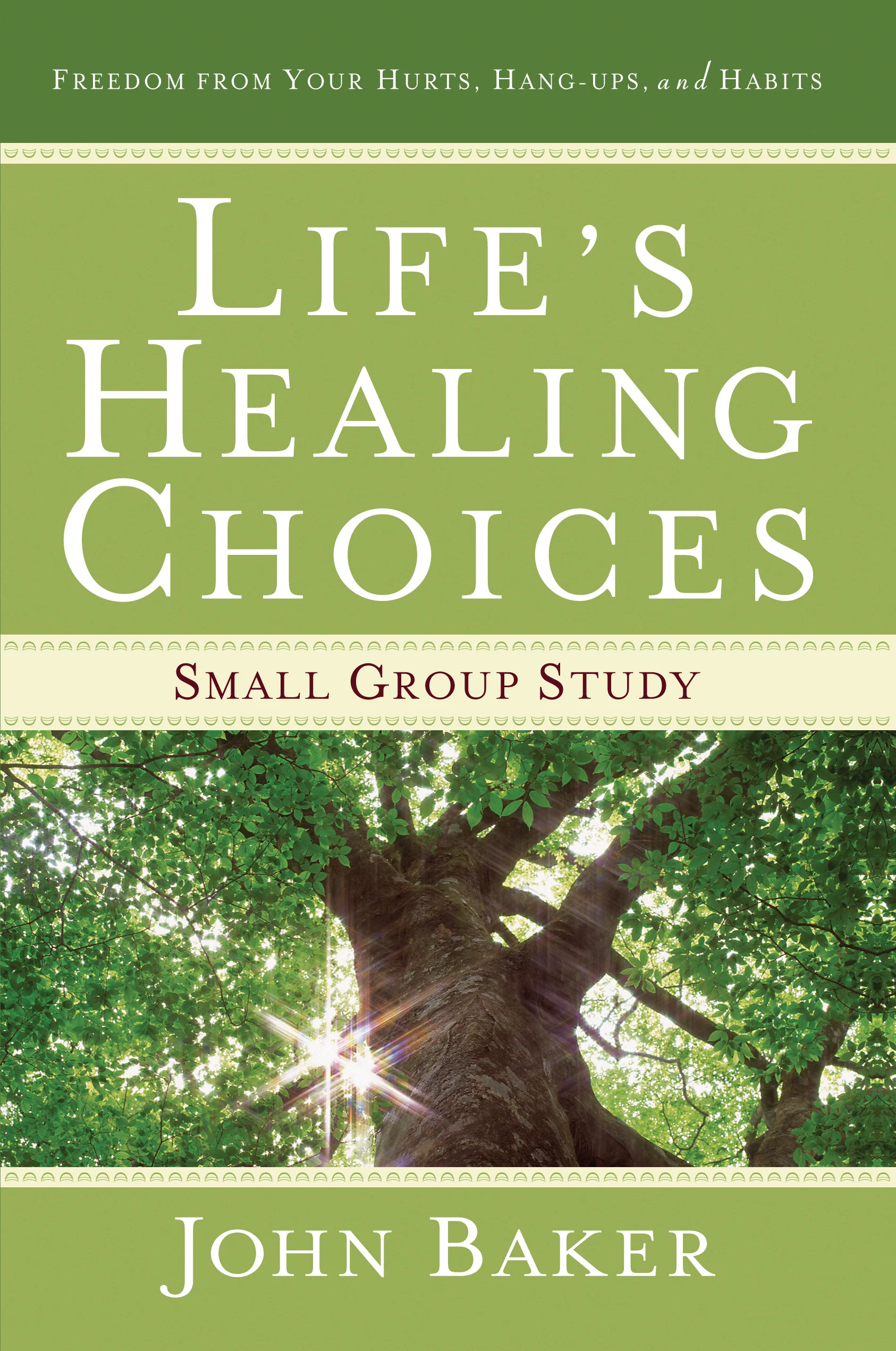 Life's Healing Choices.jpg