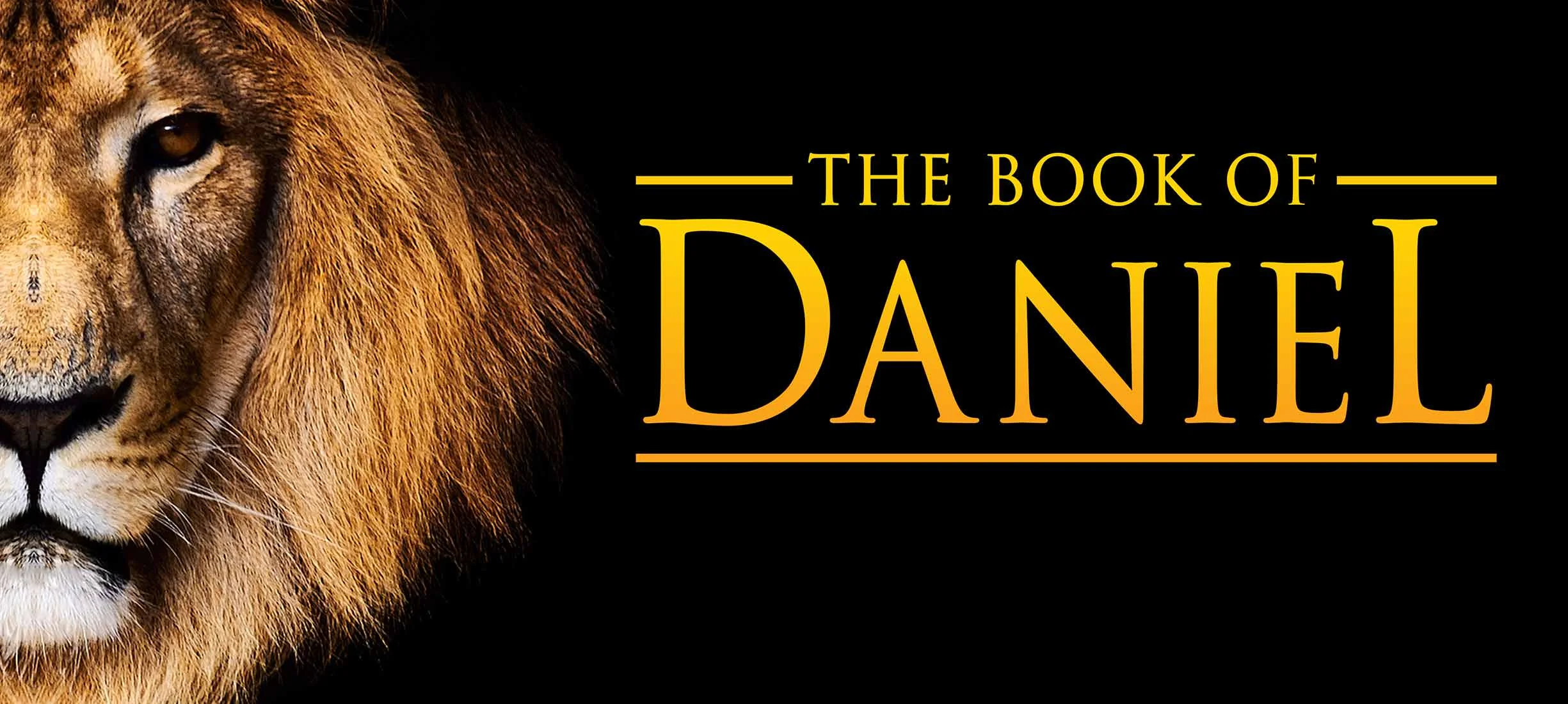 Daniel.jpg