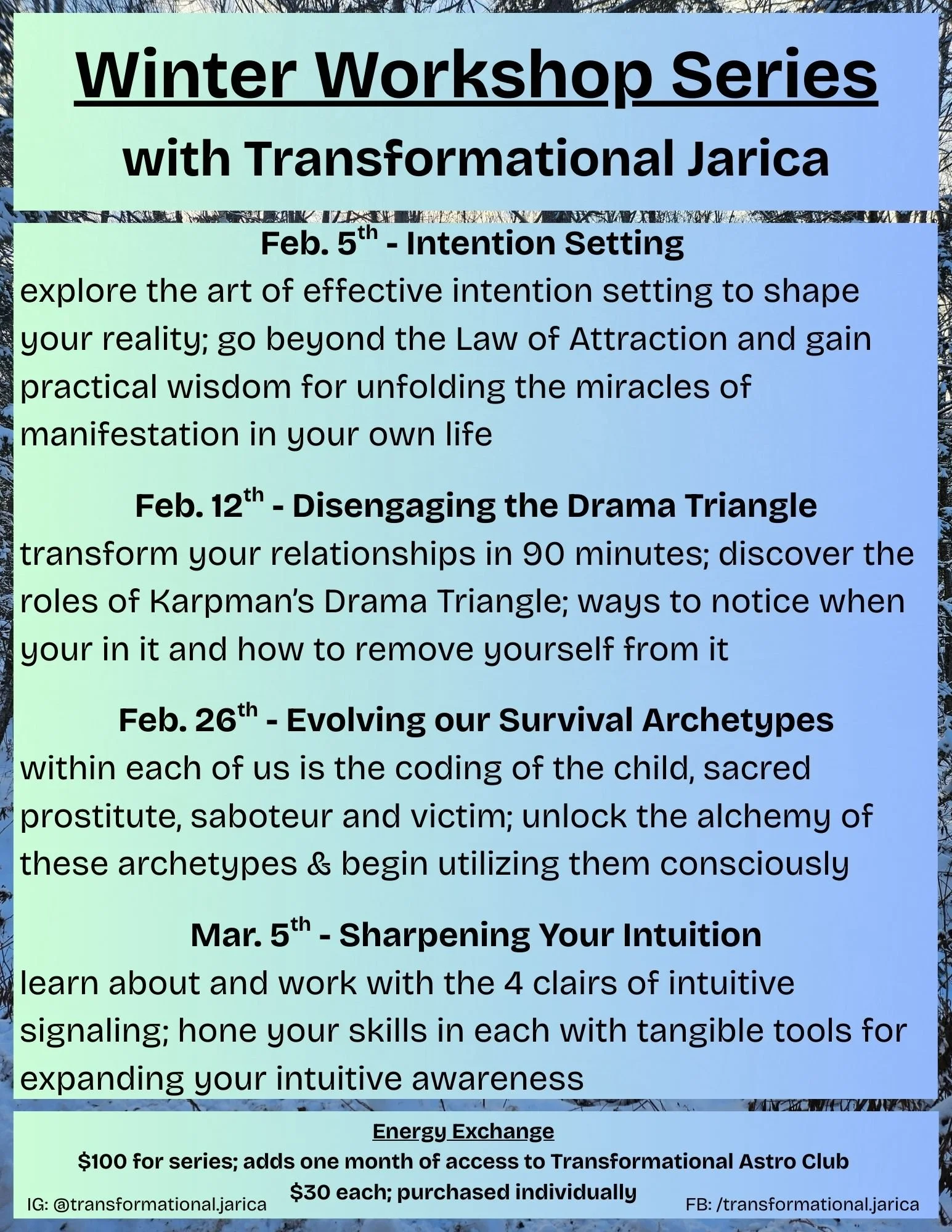 Winter Workshop Series (2026)