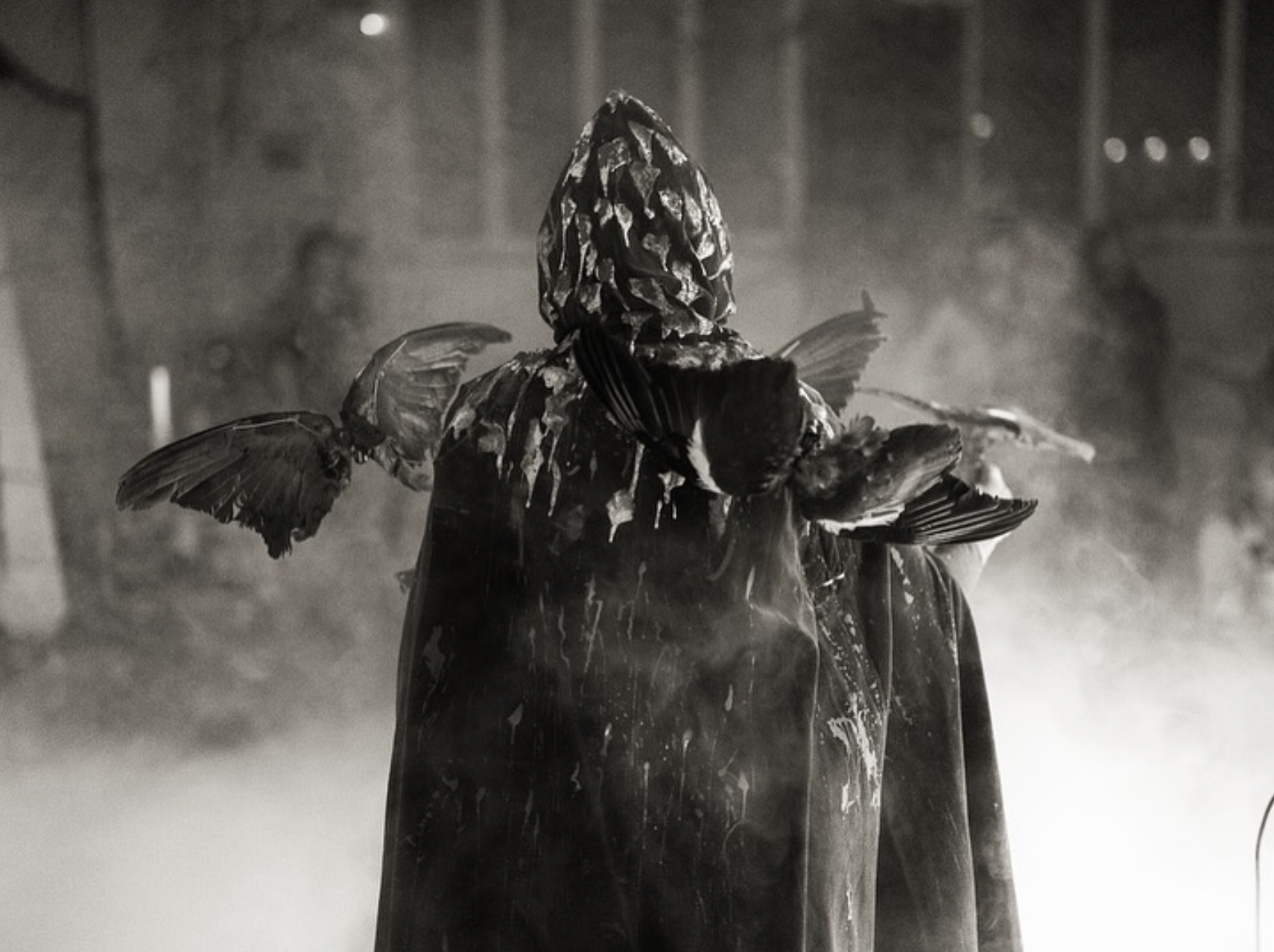 A person wearing a patterned hooded jacket, standing with their back to the camera, surrounded by birds flying around and landing on their shoulders and head, in a misty outdoor setting at night.