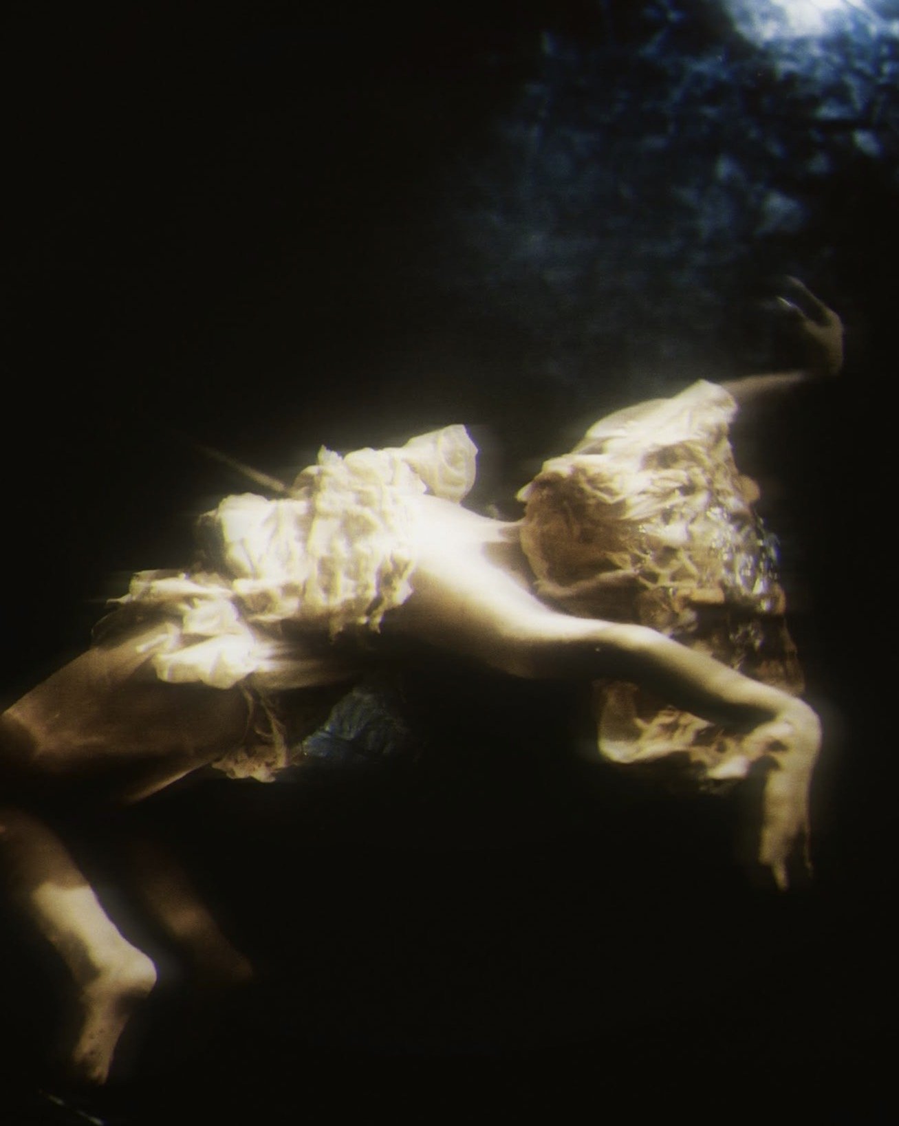 A preserved animal skull and bones displayed against a dark background.