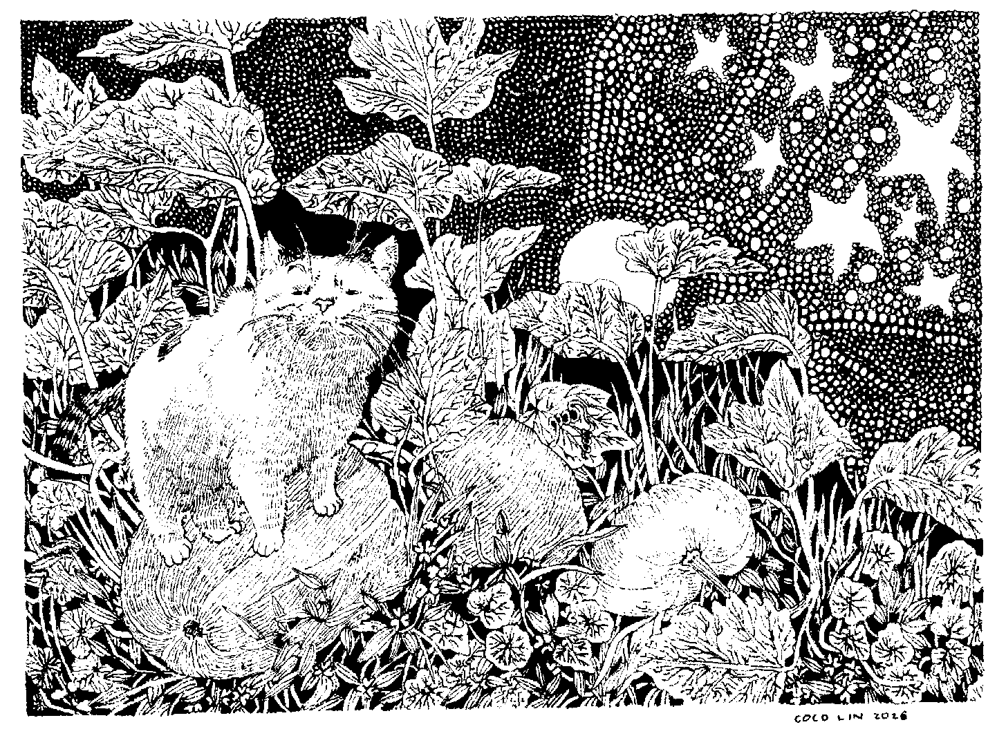 Black and white line drawing of a cat sitting on a large pumpkin surrounded by autumn leaves, with a full moon and starry sky in the background.