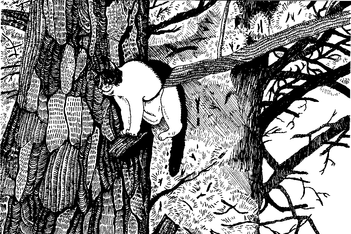 A detailed black and white illustration of a tree with cat resting on a branch.