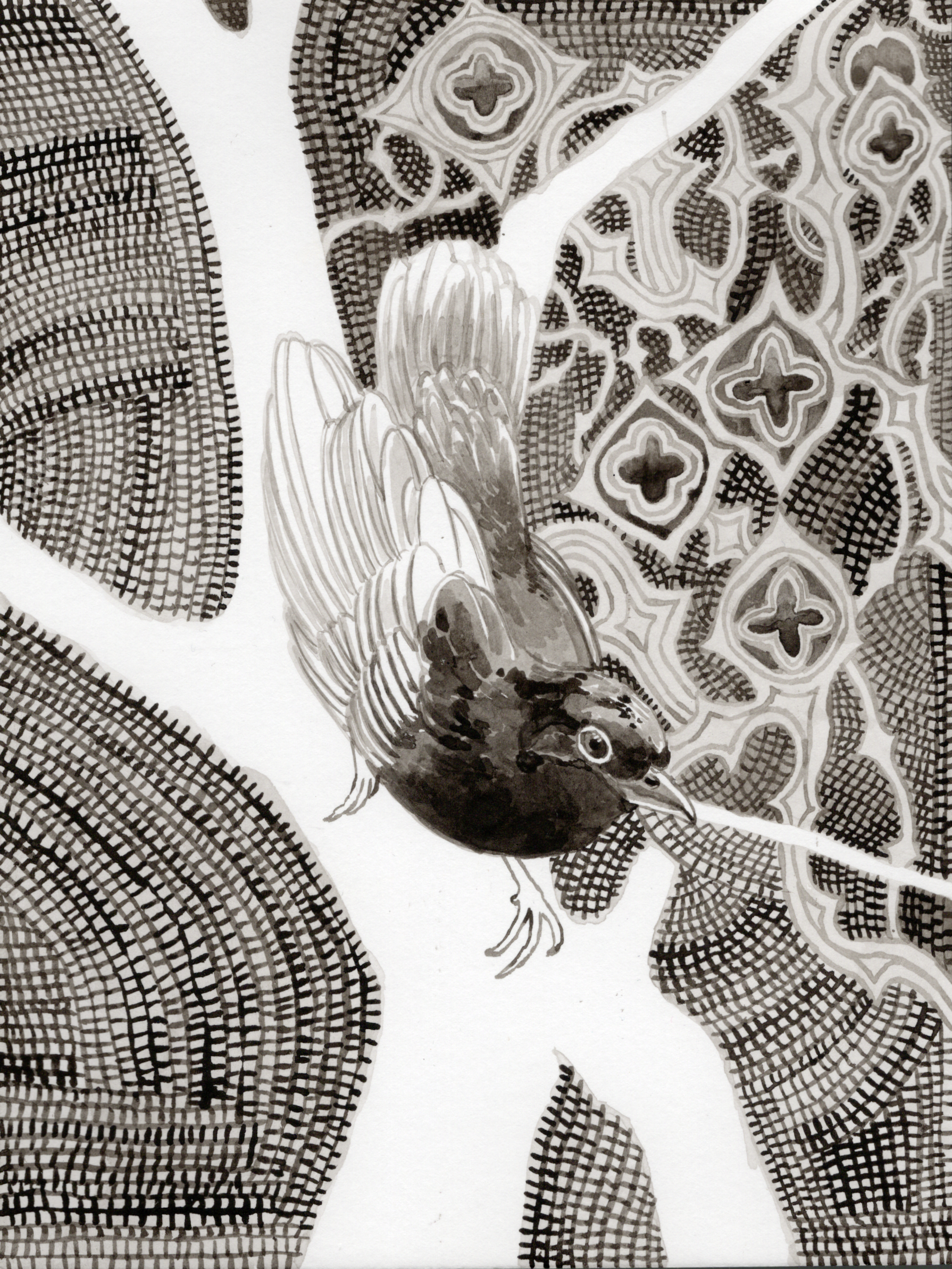 Original Ink Wash Bird Drawing