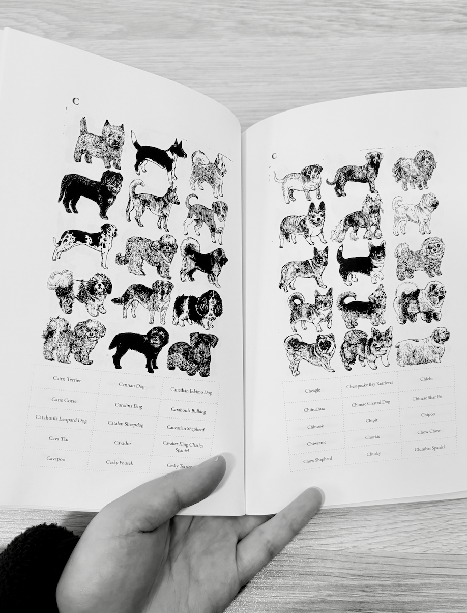 Dog Art Book.png