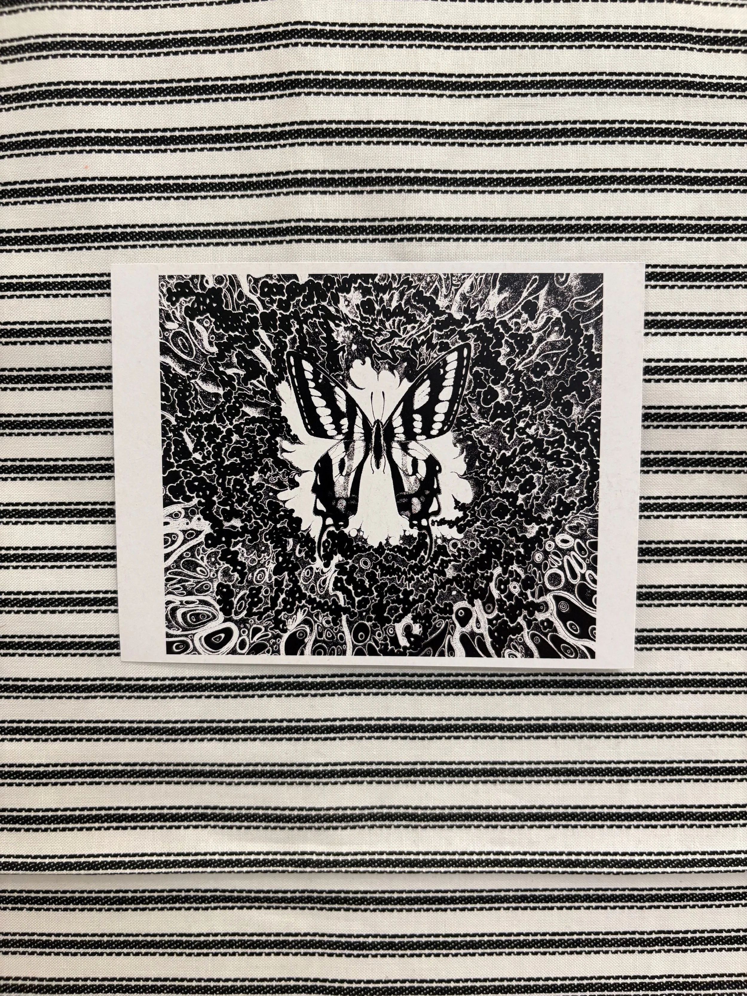 Butterfly Postcard