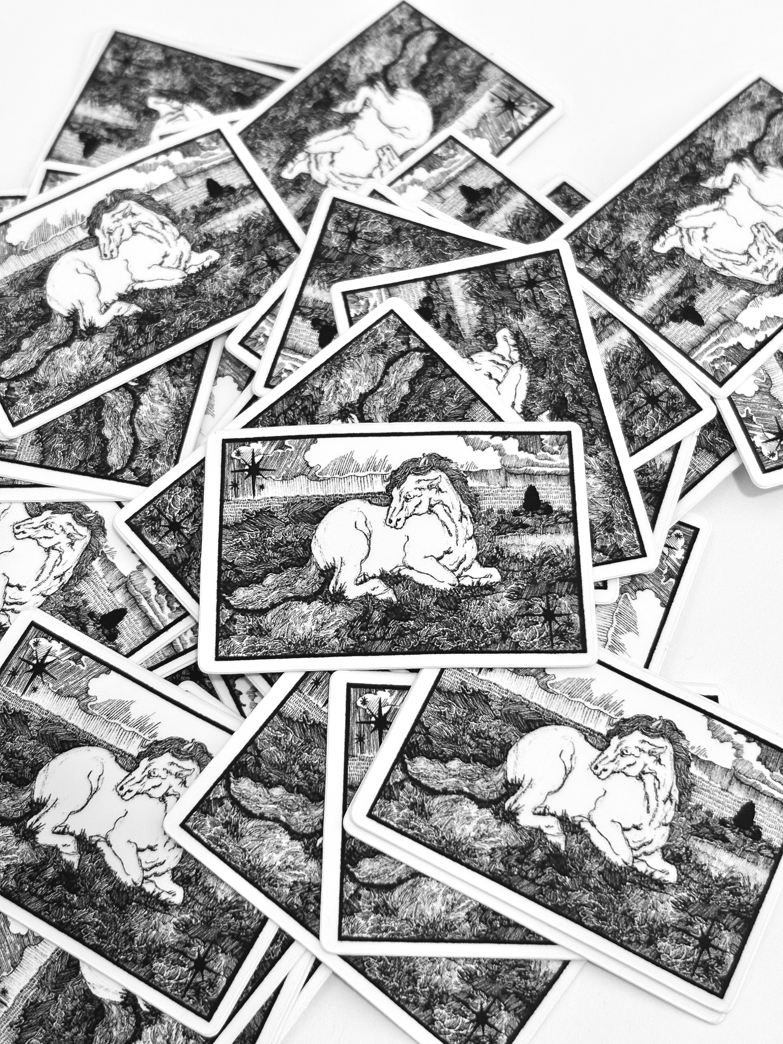 Spring 2026: Horse in Field