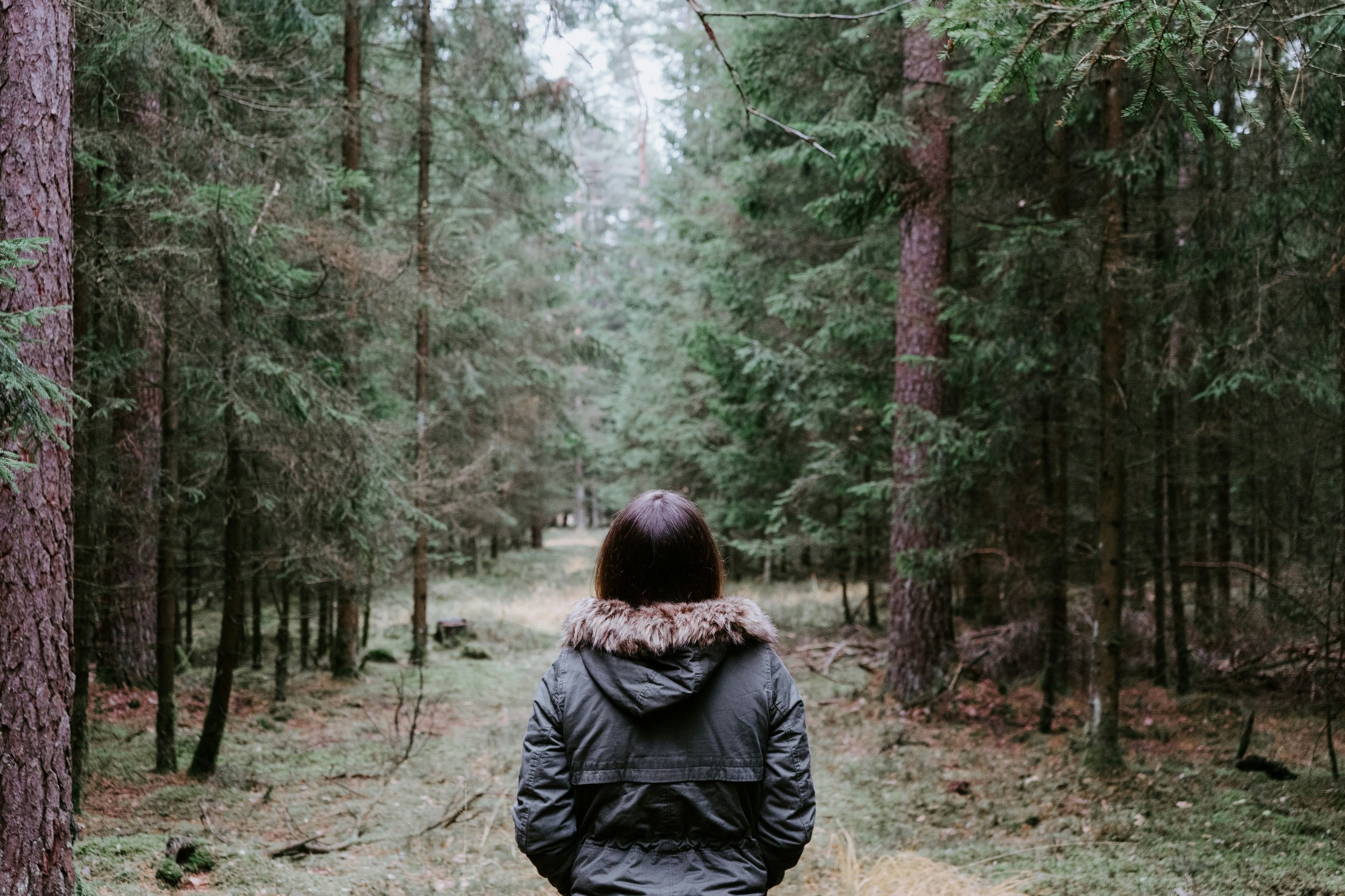 Peaceful green landscape symbolizing calm mind and nervous system regulation