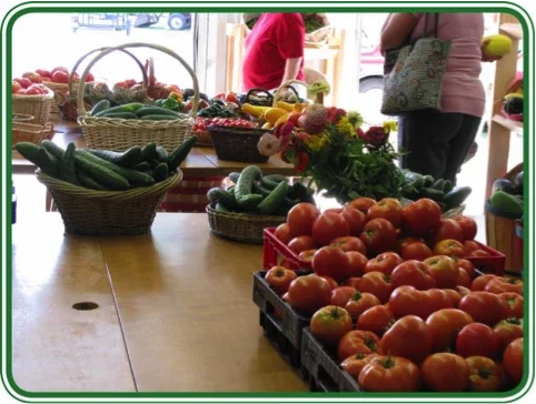 Market table full of tomatoes, cucumbers, and more fresh produce