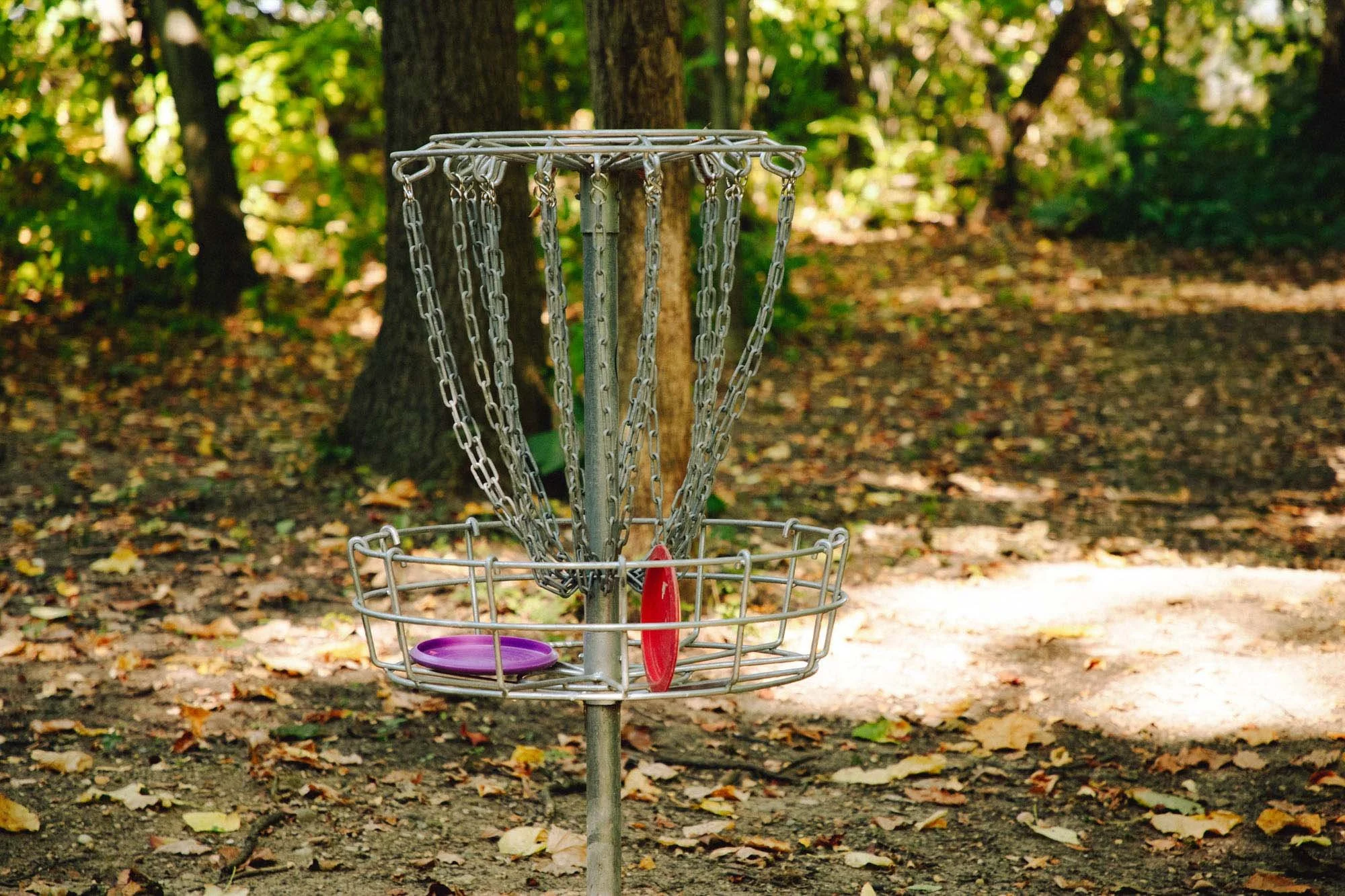 Disc golf basket on a dirt path with fallen leaves, trees in the background, in a forested park area.
