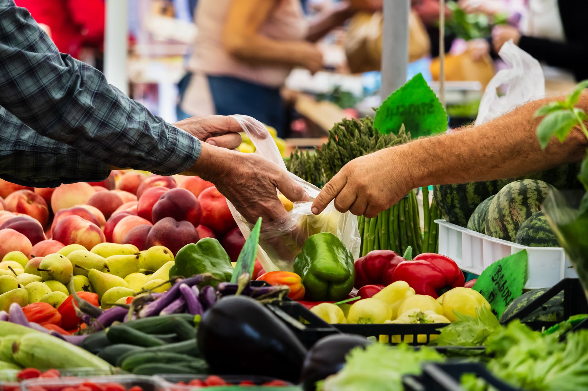 People shopping at a fruit stand with apples, eggplants, peppers, and other vegetables.